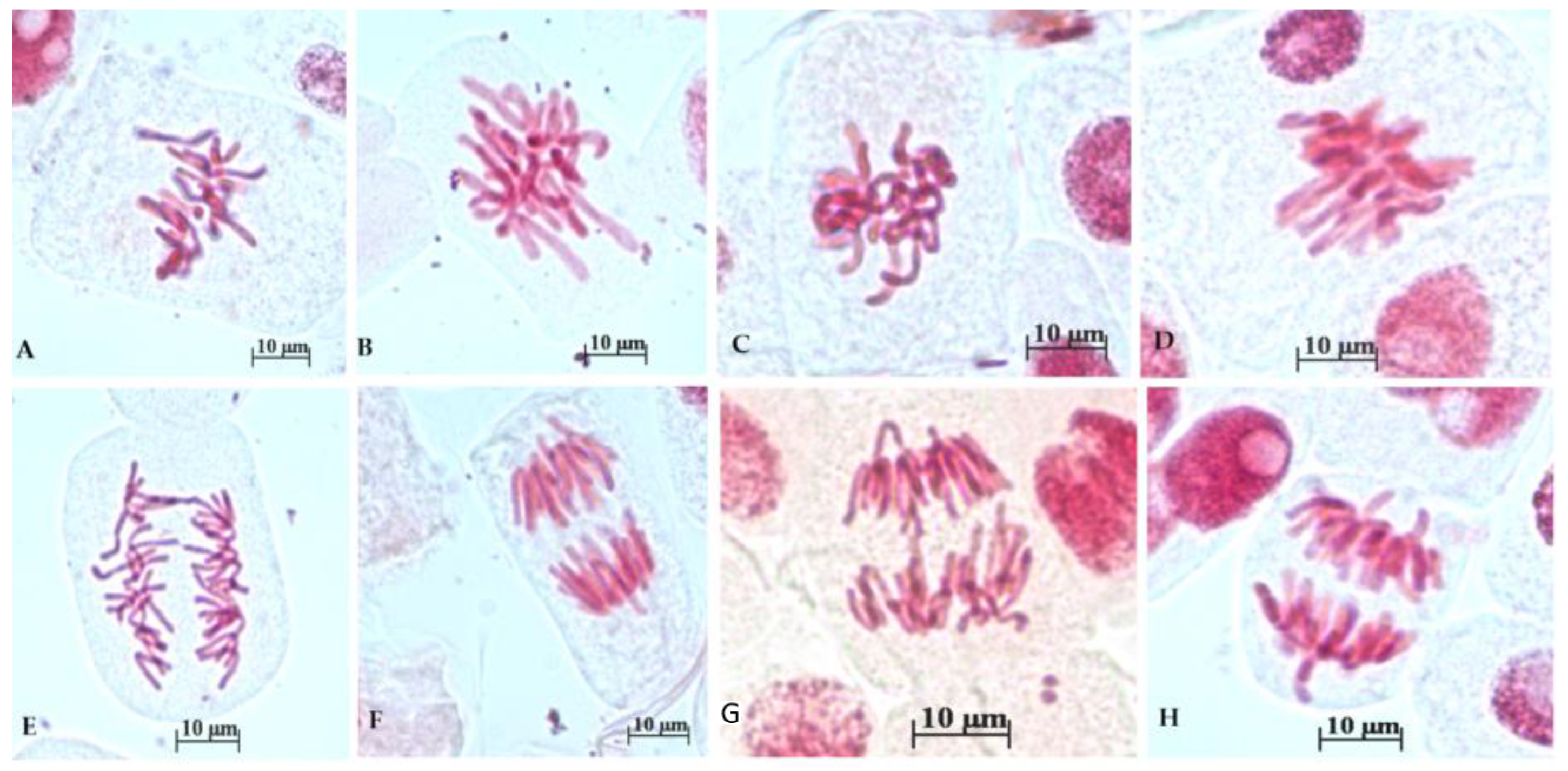 Toxics 12 00194 g003