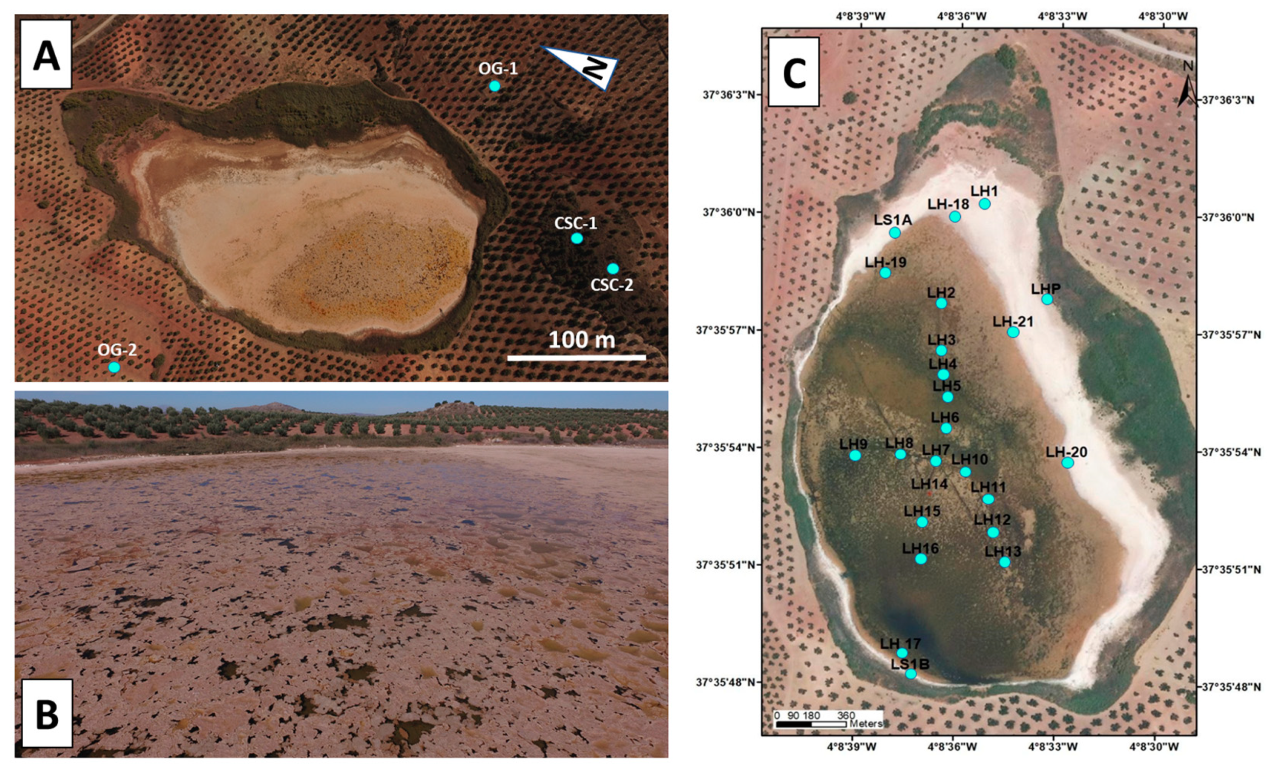 Toxics 12 00223 g002