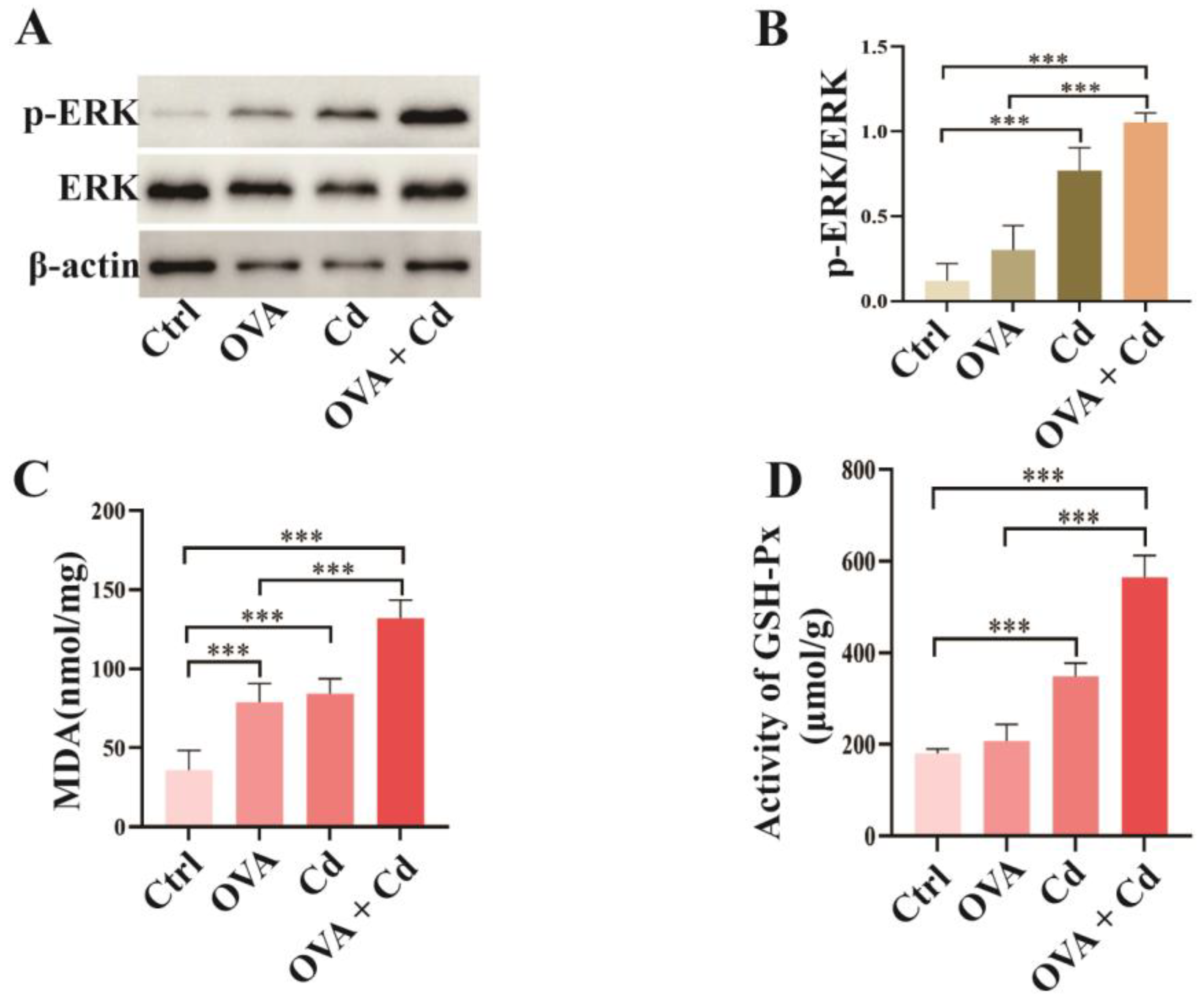 Toxics 12 00235 g003