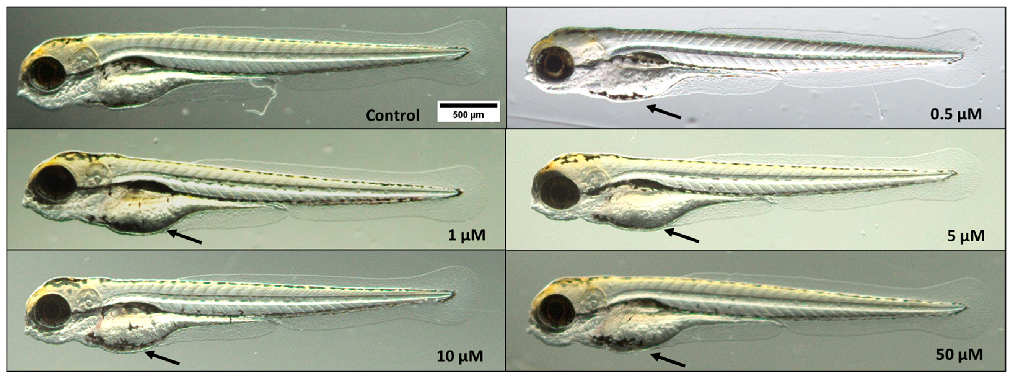 Toxics 12 00255 g005
