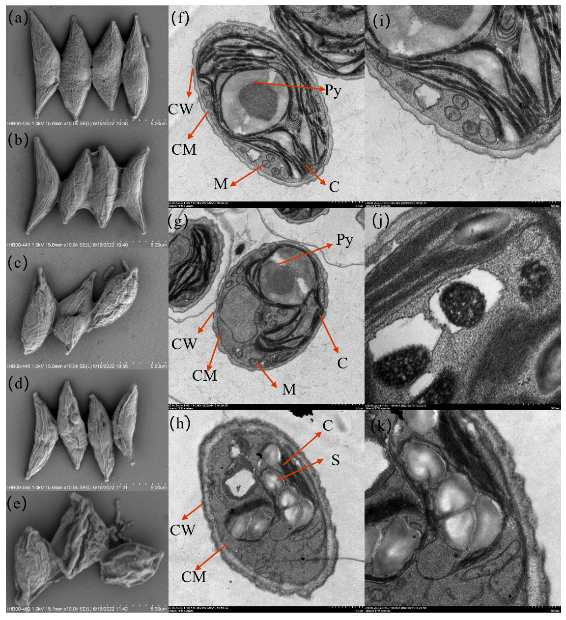 Toxics 12 00262 g001