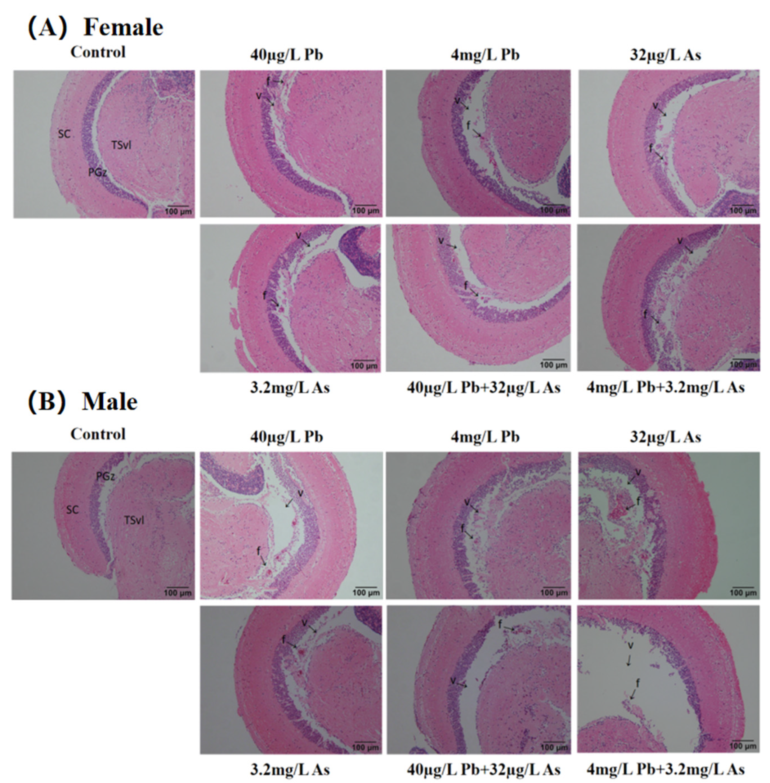 Toxics 12 00282 g001