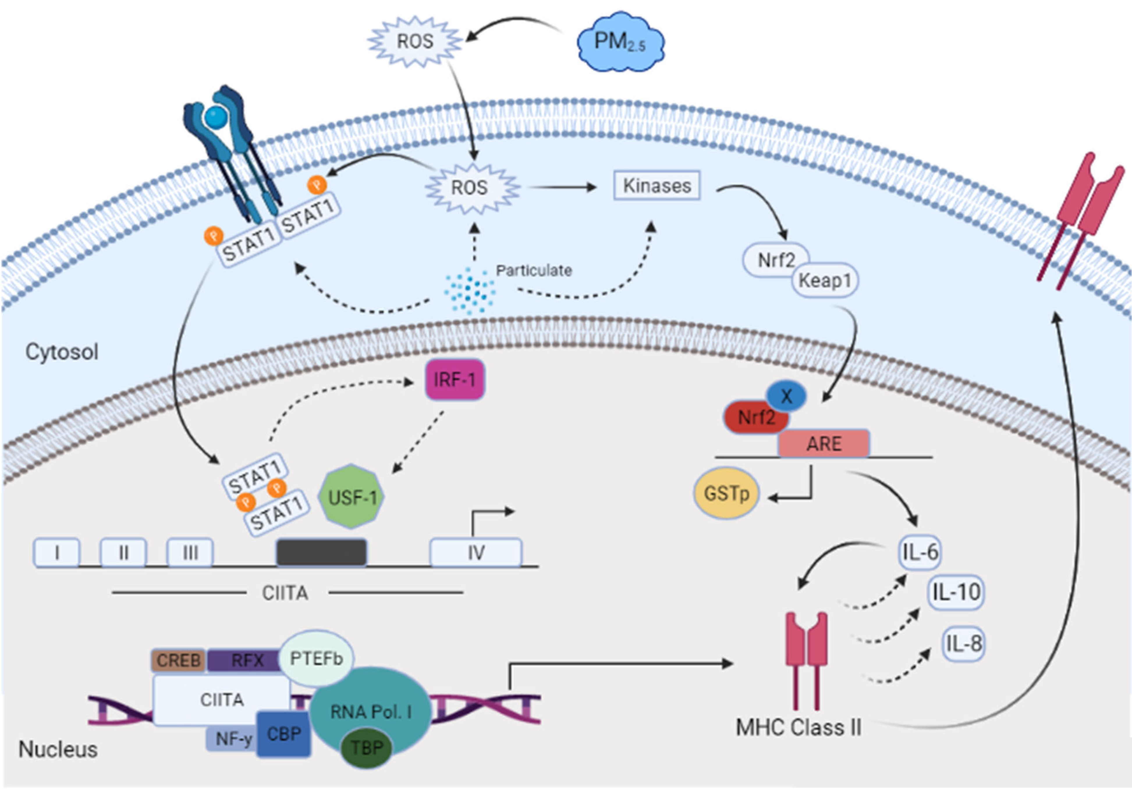 Toxics 12 00292 g002