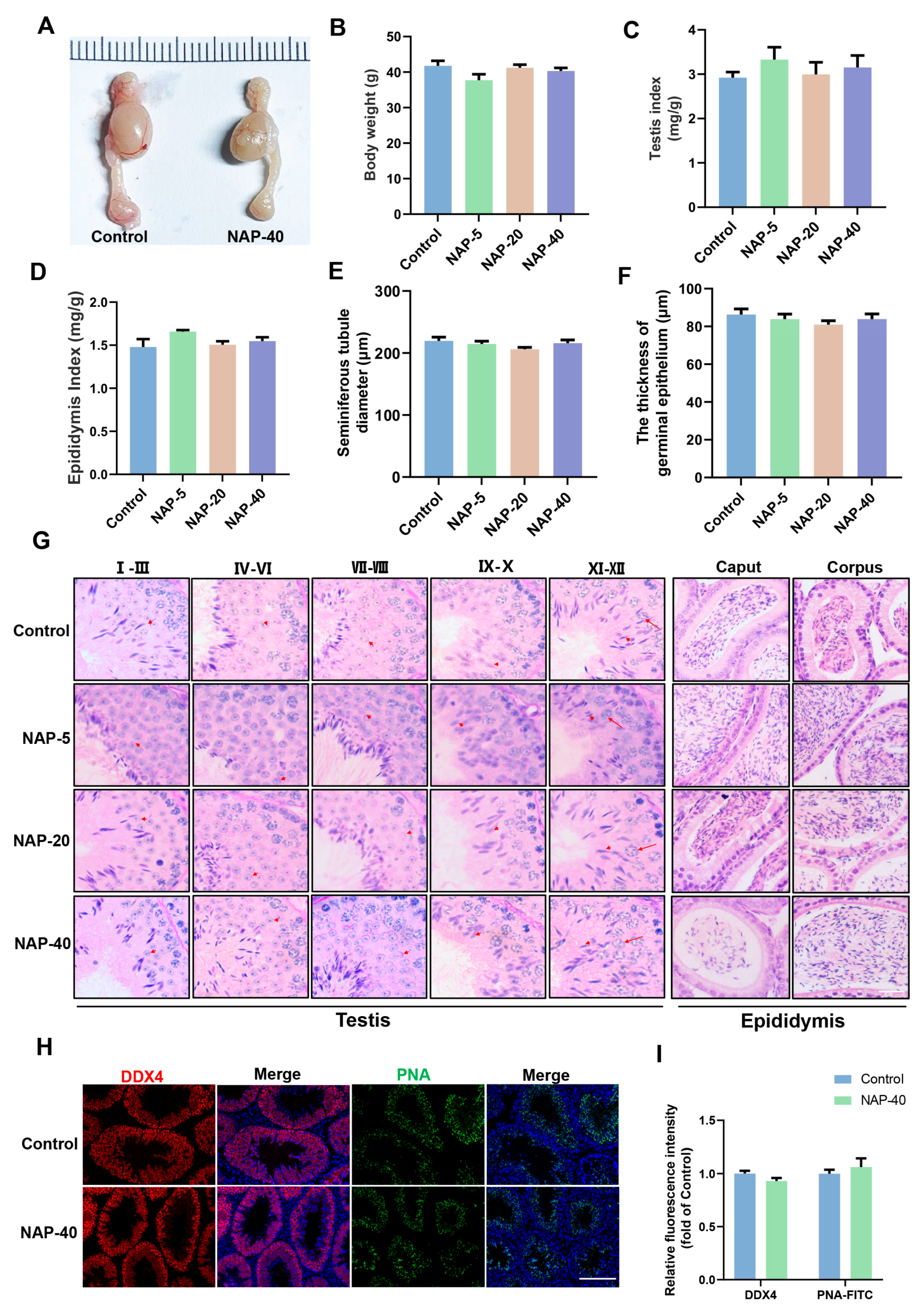 Toxics 12 00342 g001