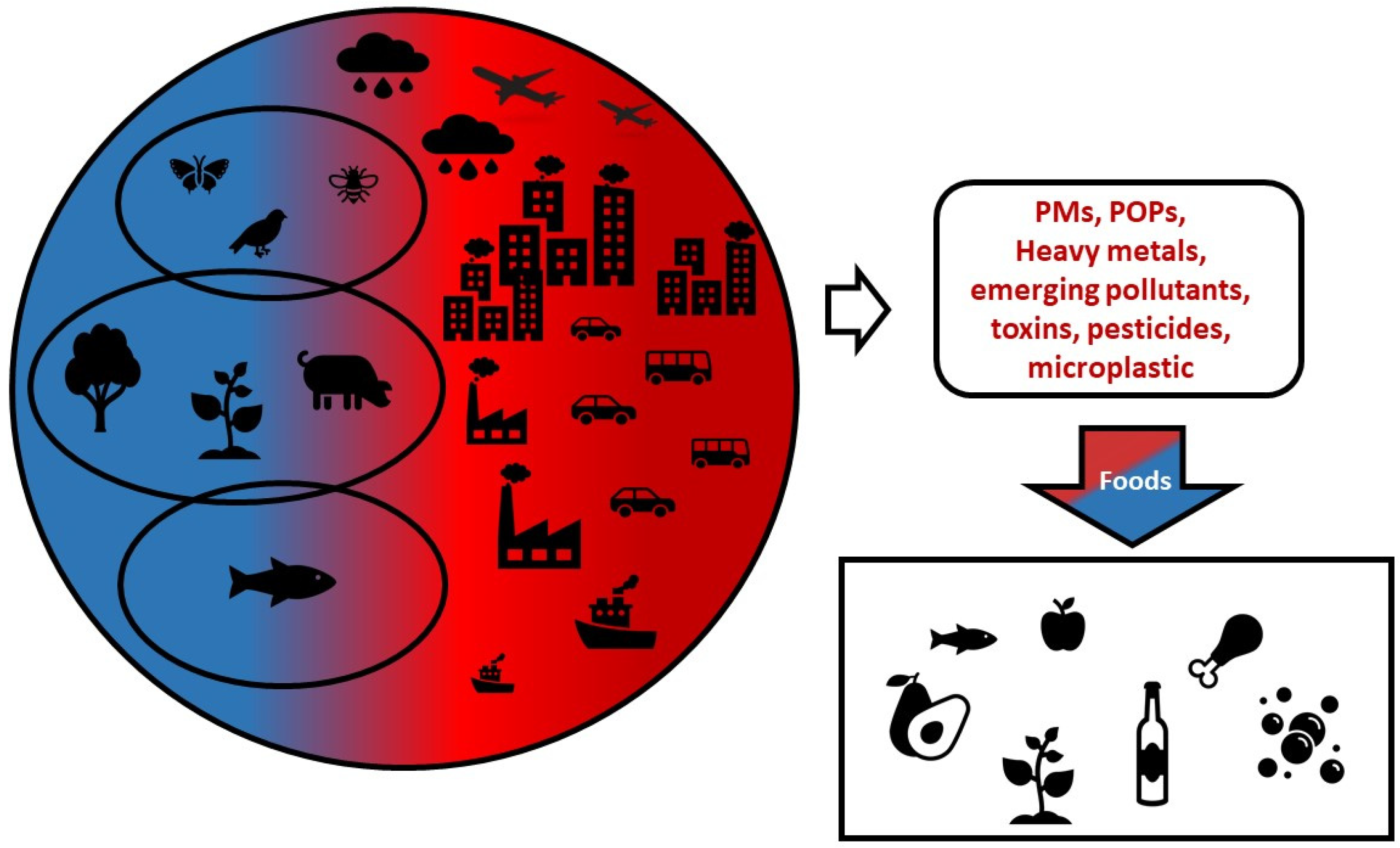 Toxics 12 00365 g001