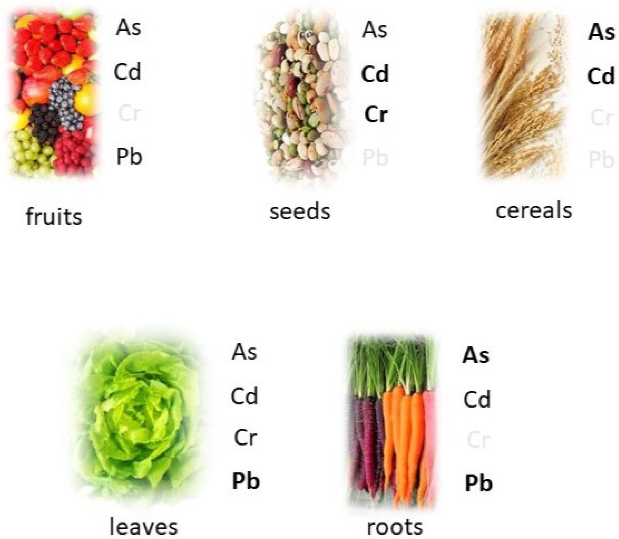Toxics 12 00365 g002