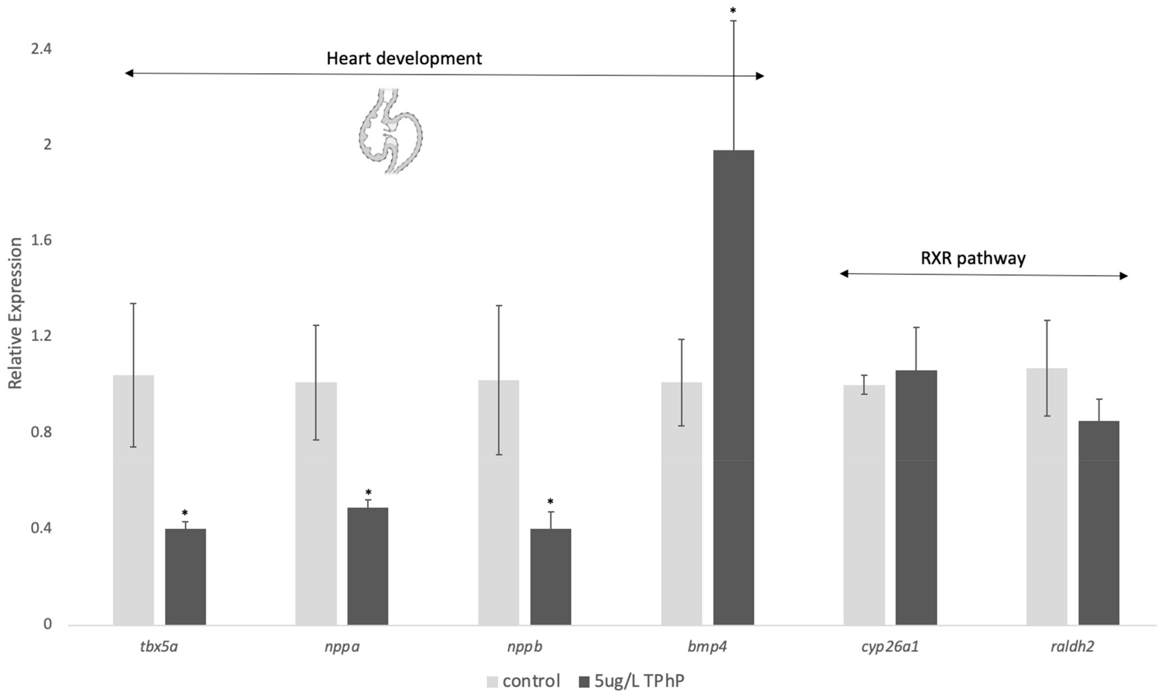 Toxics 12 00368 g005