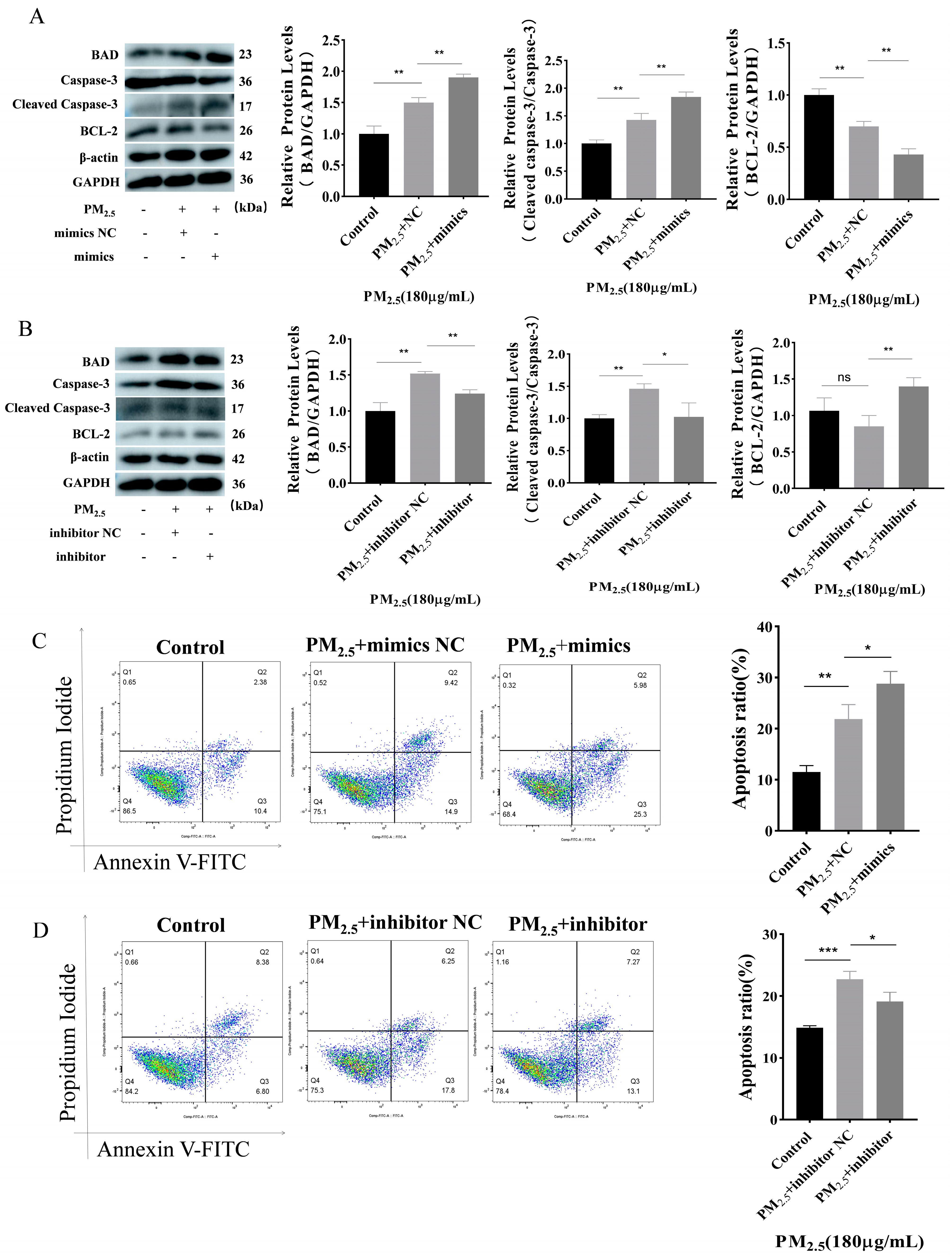 Toxics 12 00386 g003