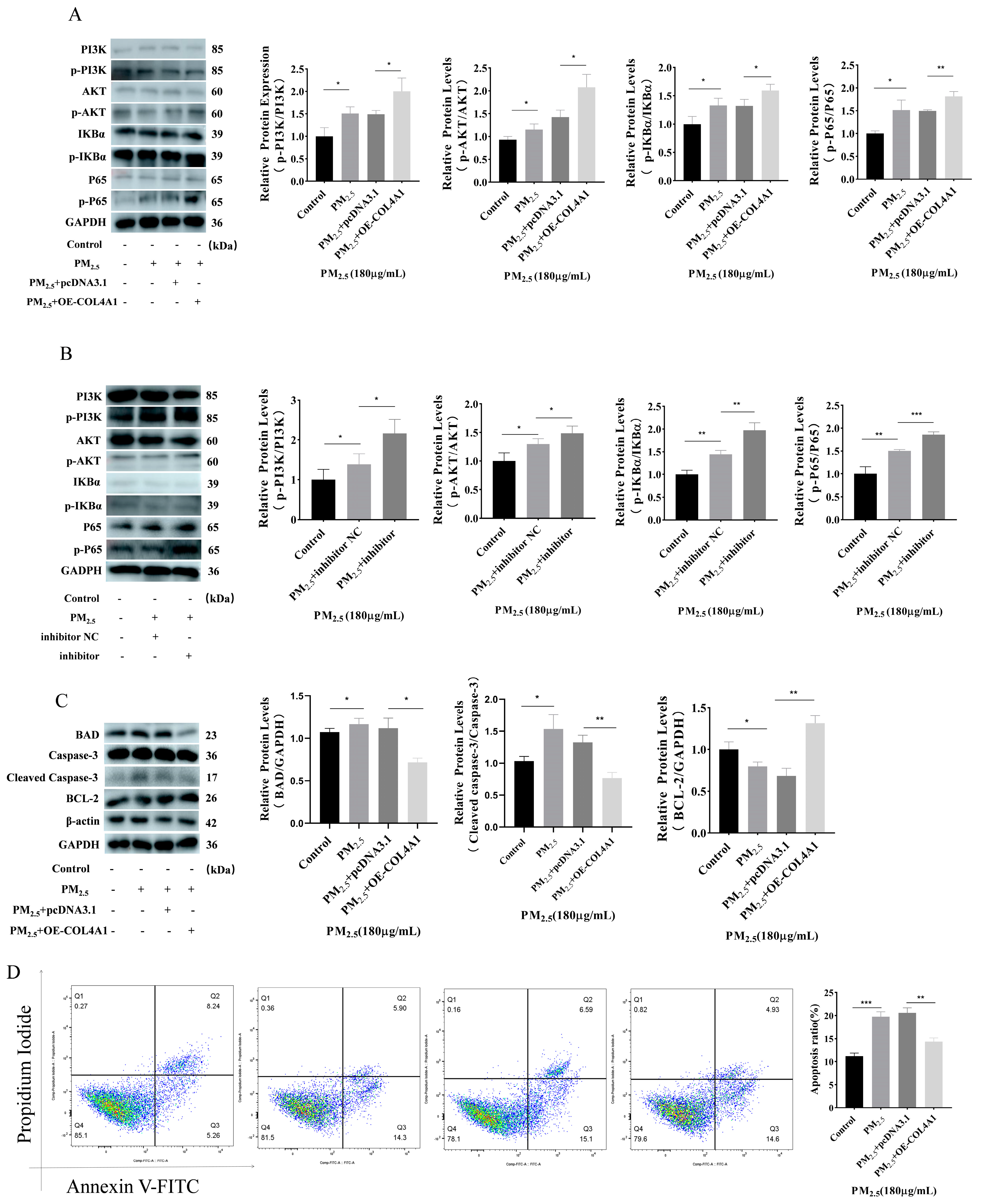 Toxics 12 00386 g006
