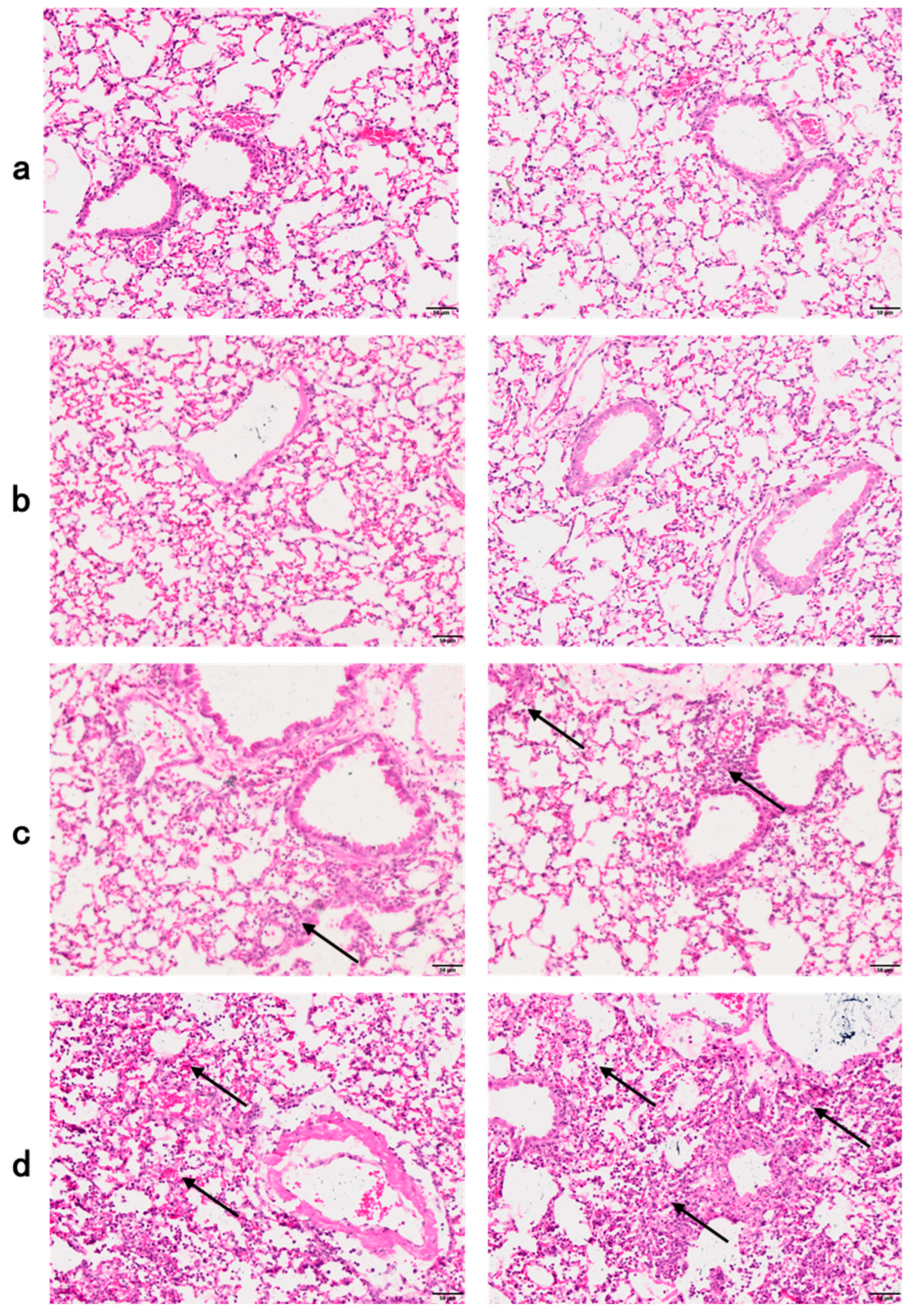 Toxics 12 00387 g005