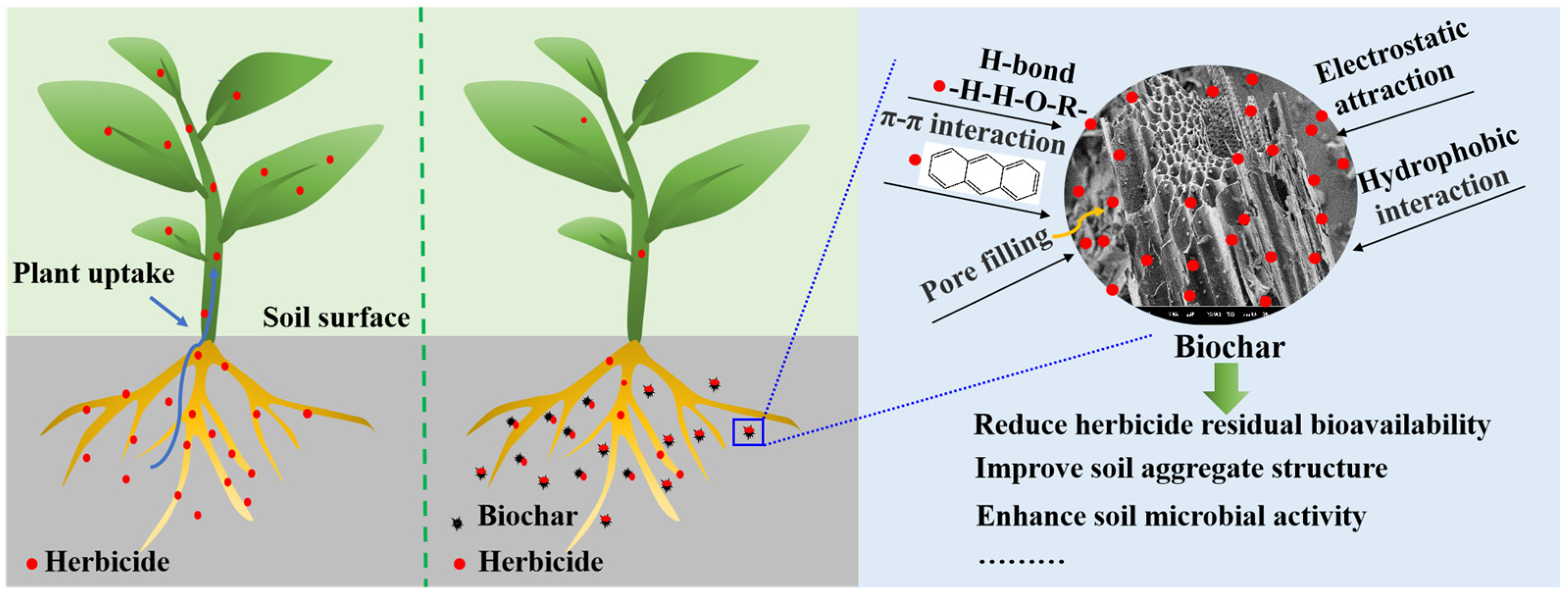 Toxics 12 00397 g003