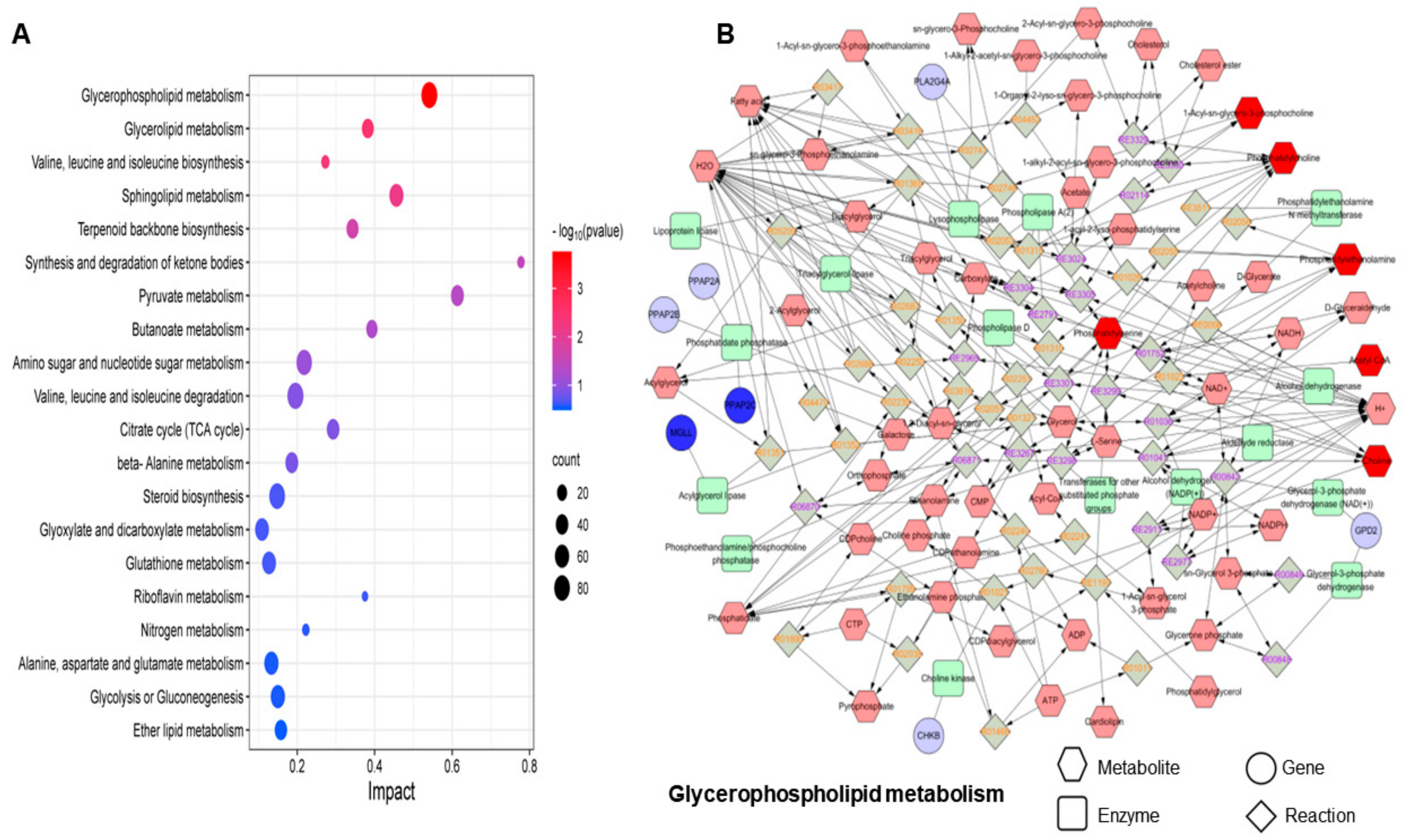 Toxics 12 00399 g006
