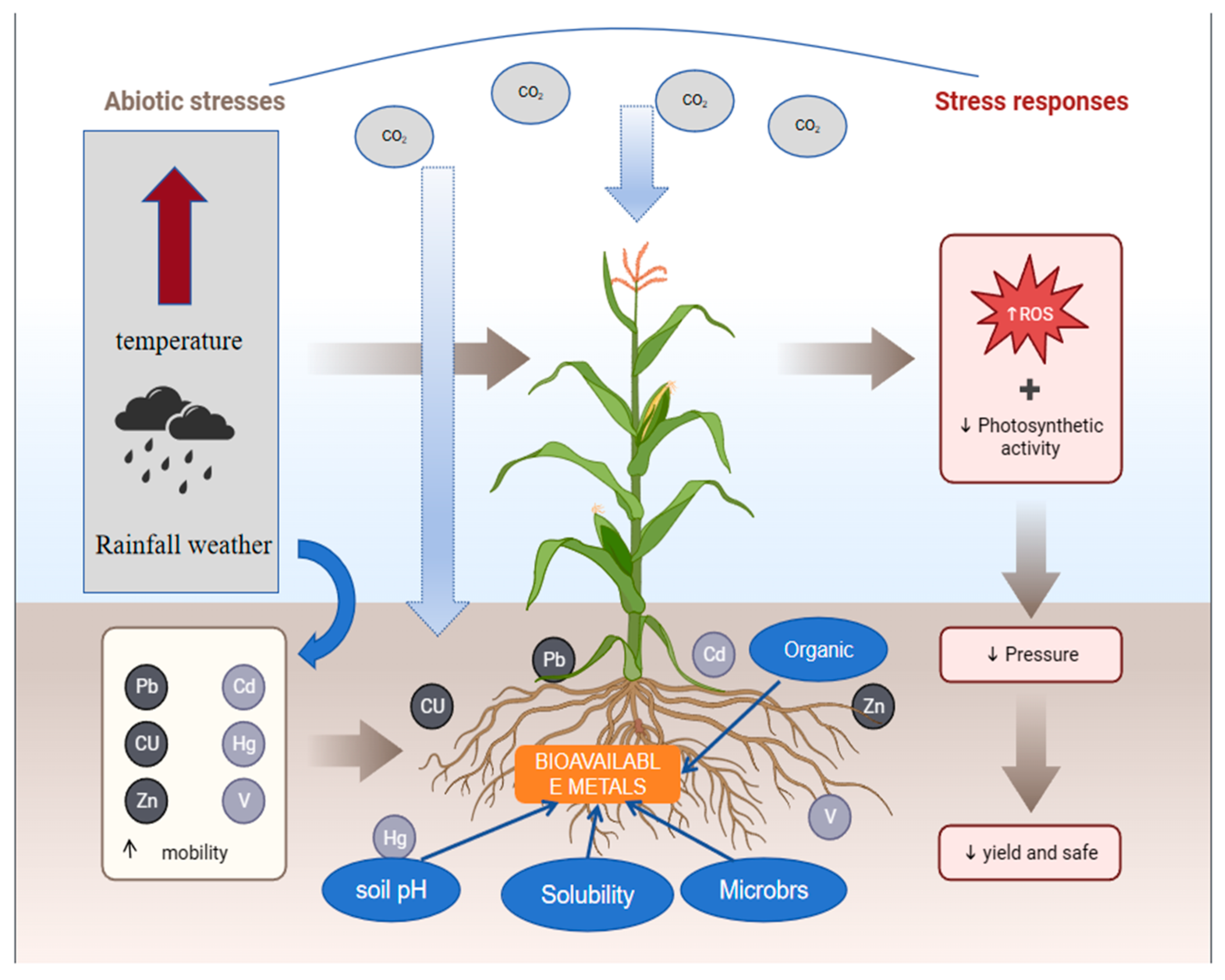 Toxics 12 00400 g003