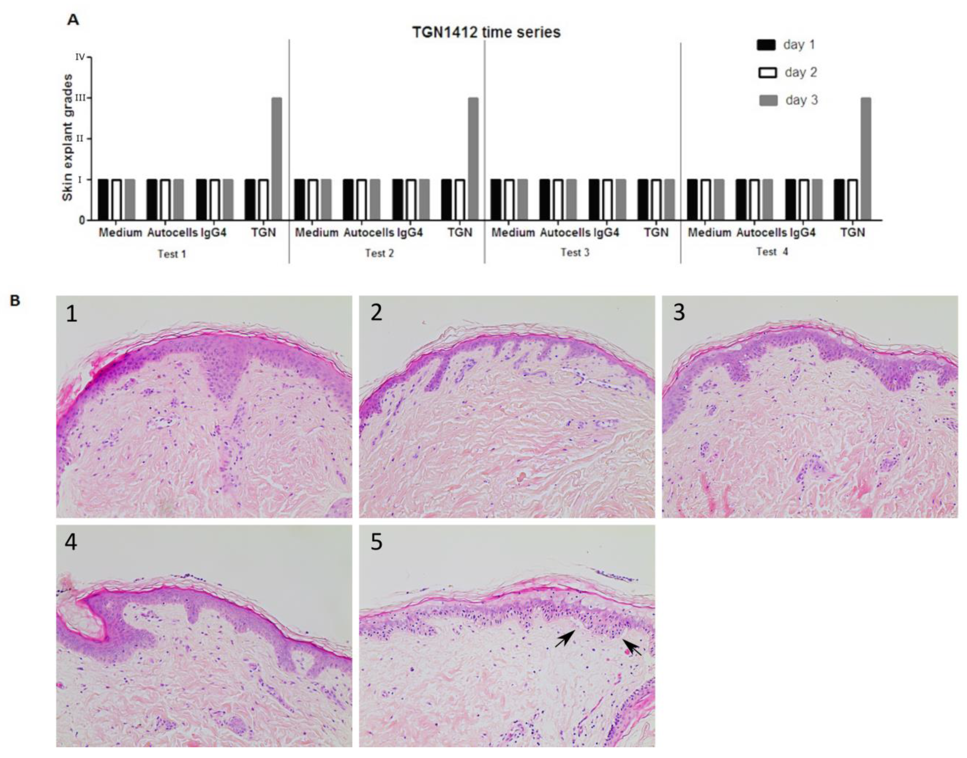 Toxics 12 00401 g005