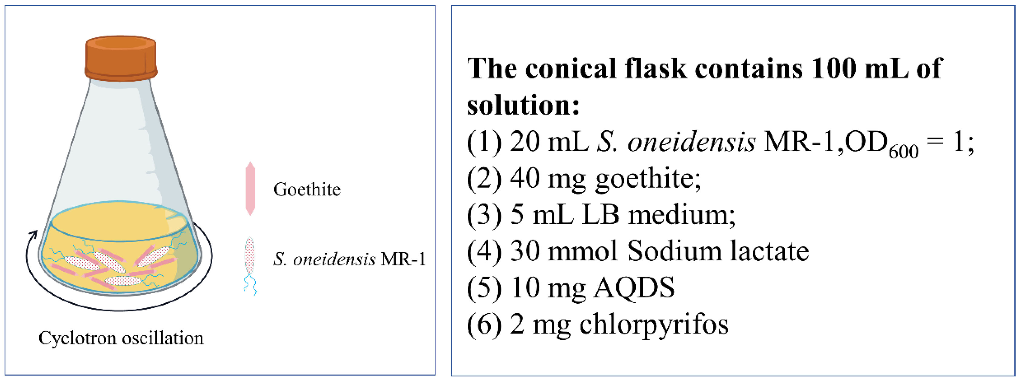 Toxics 12 00402 g001