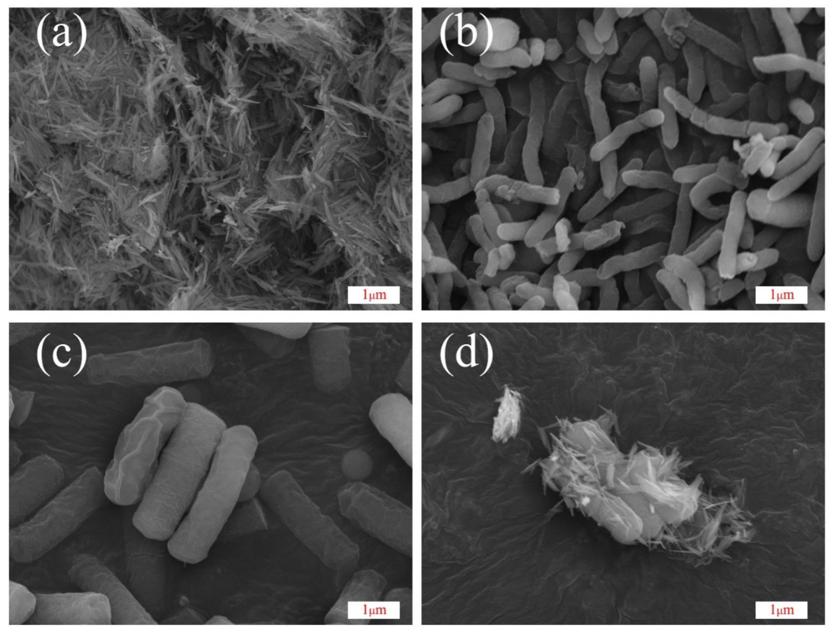 Toxics 12 00402 g003