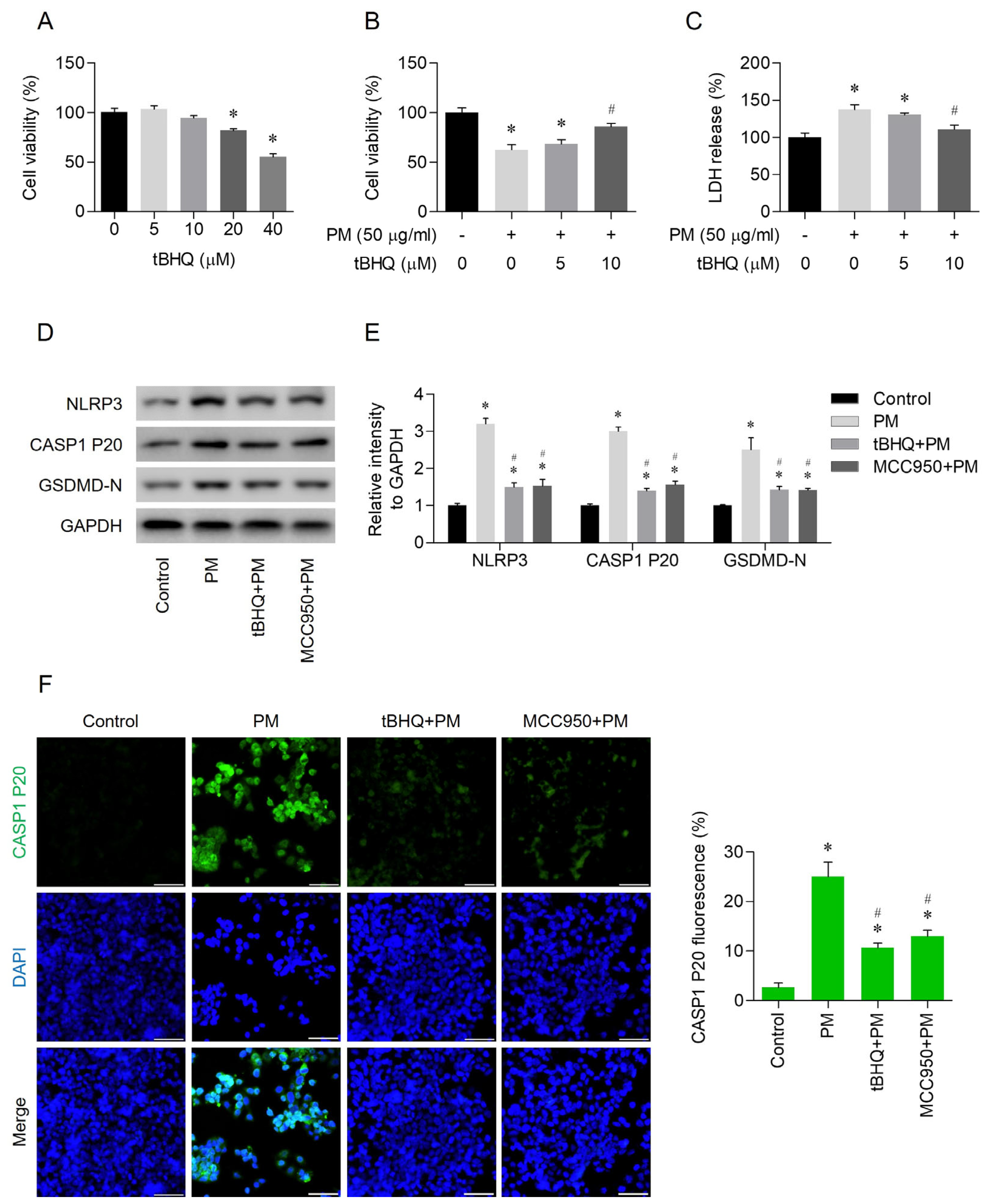 Toxics 12 00407 g003a