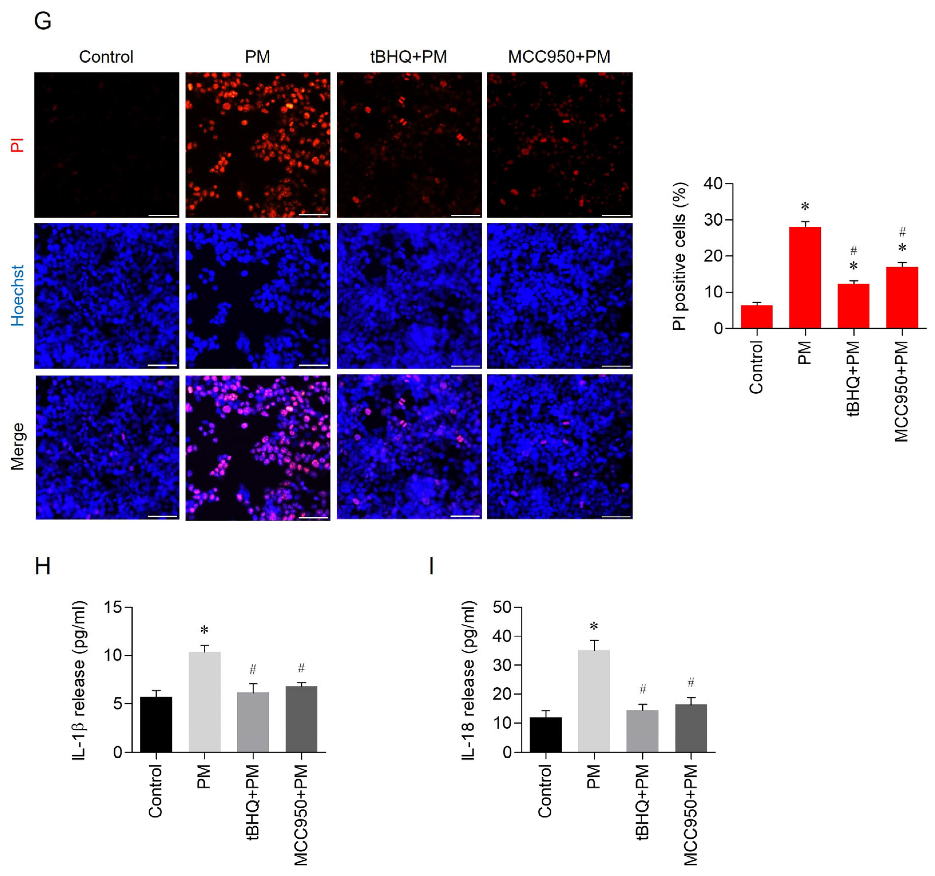 Toxics 12 00407 g003b