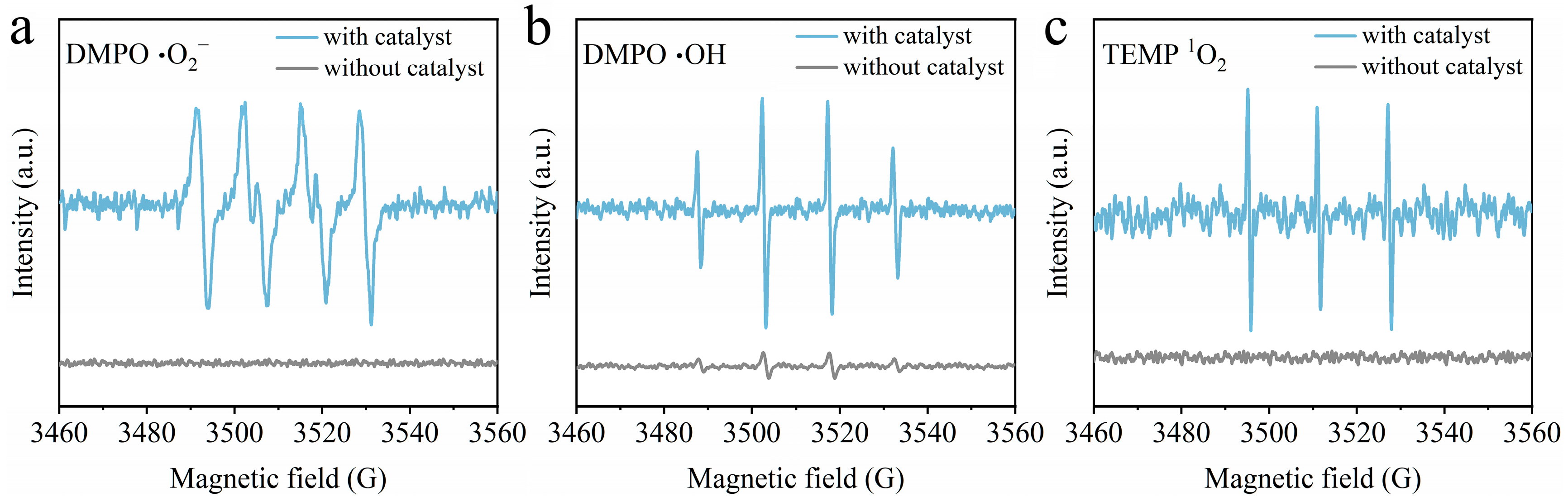 Toxics 12 00412 g012