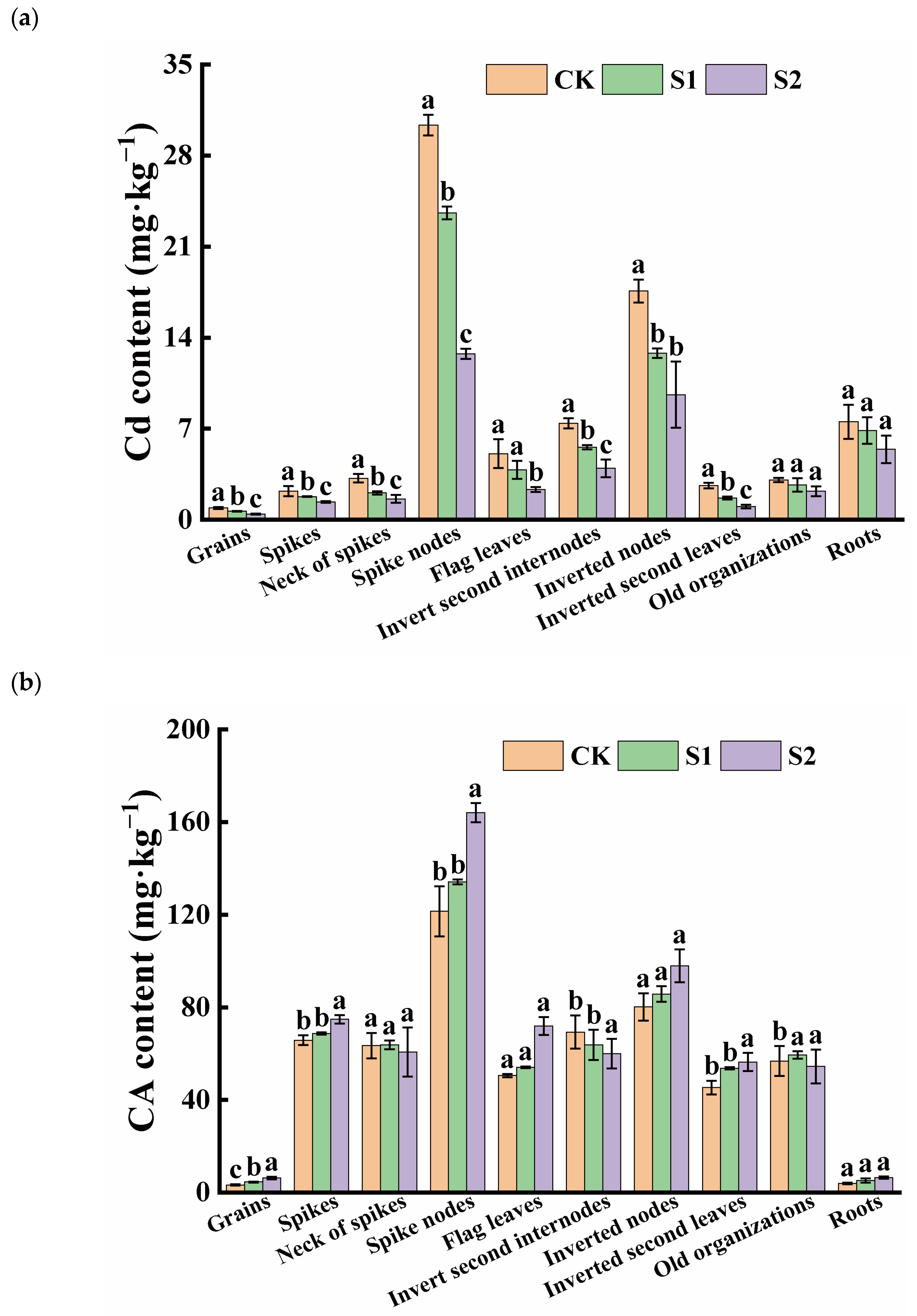 Toxics 12 00431 g001