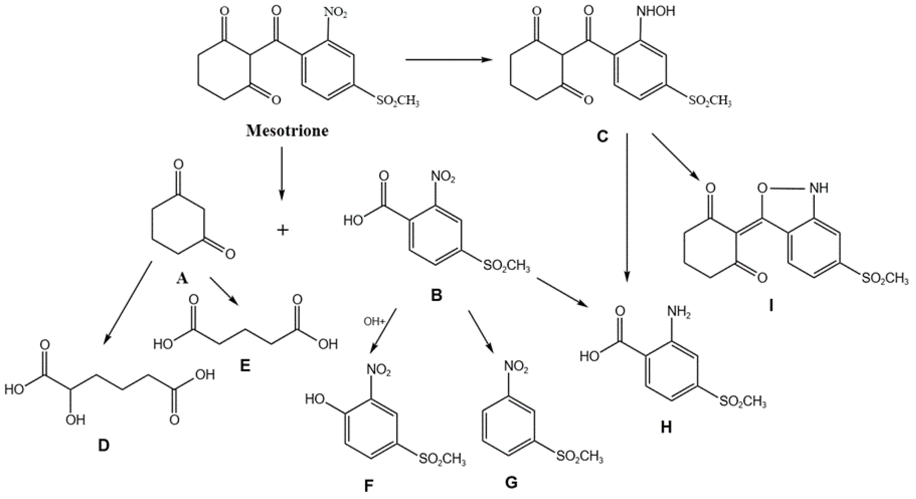 Toxics 12 00434 g007