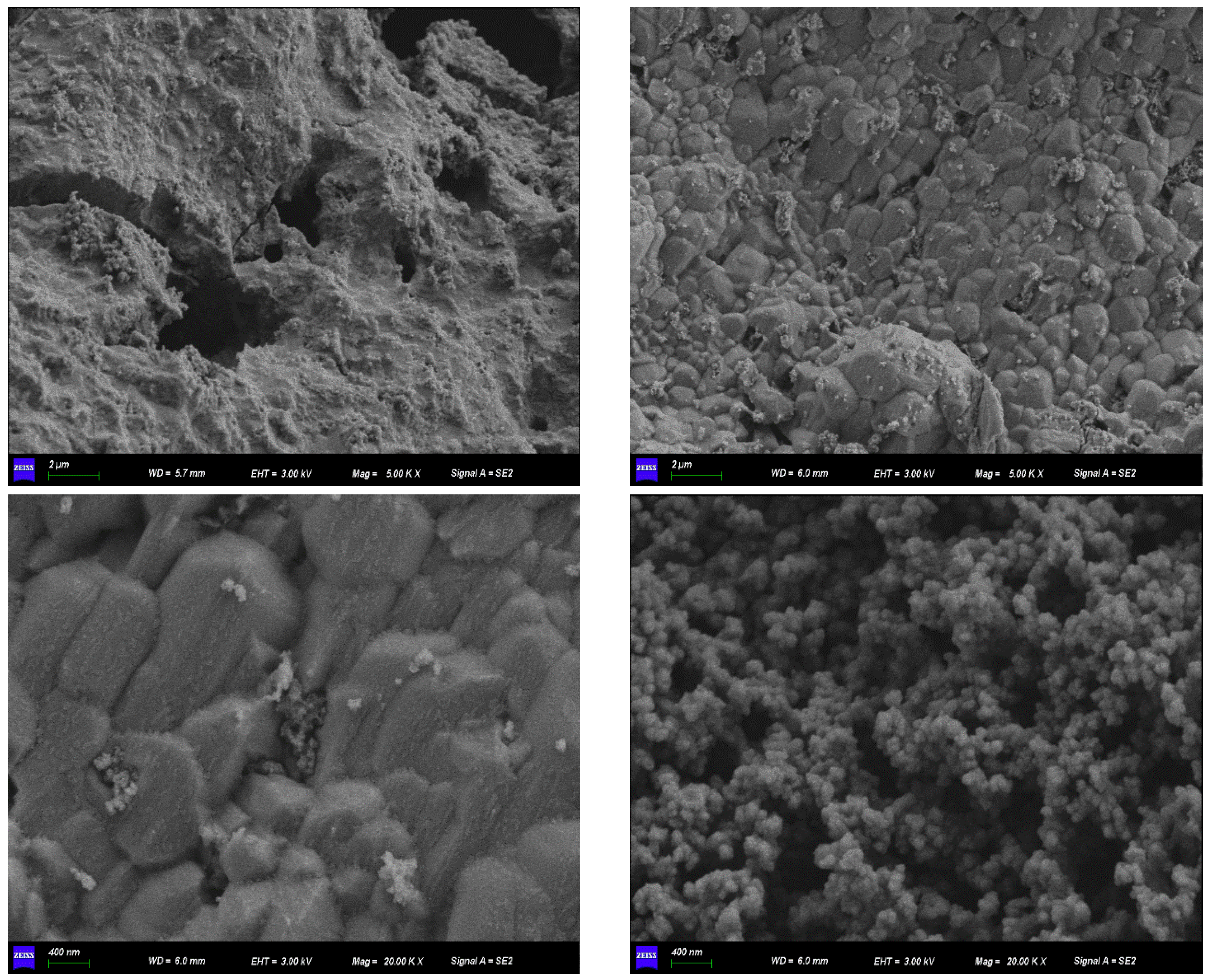 Toxics 12 00440 g005