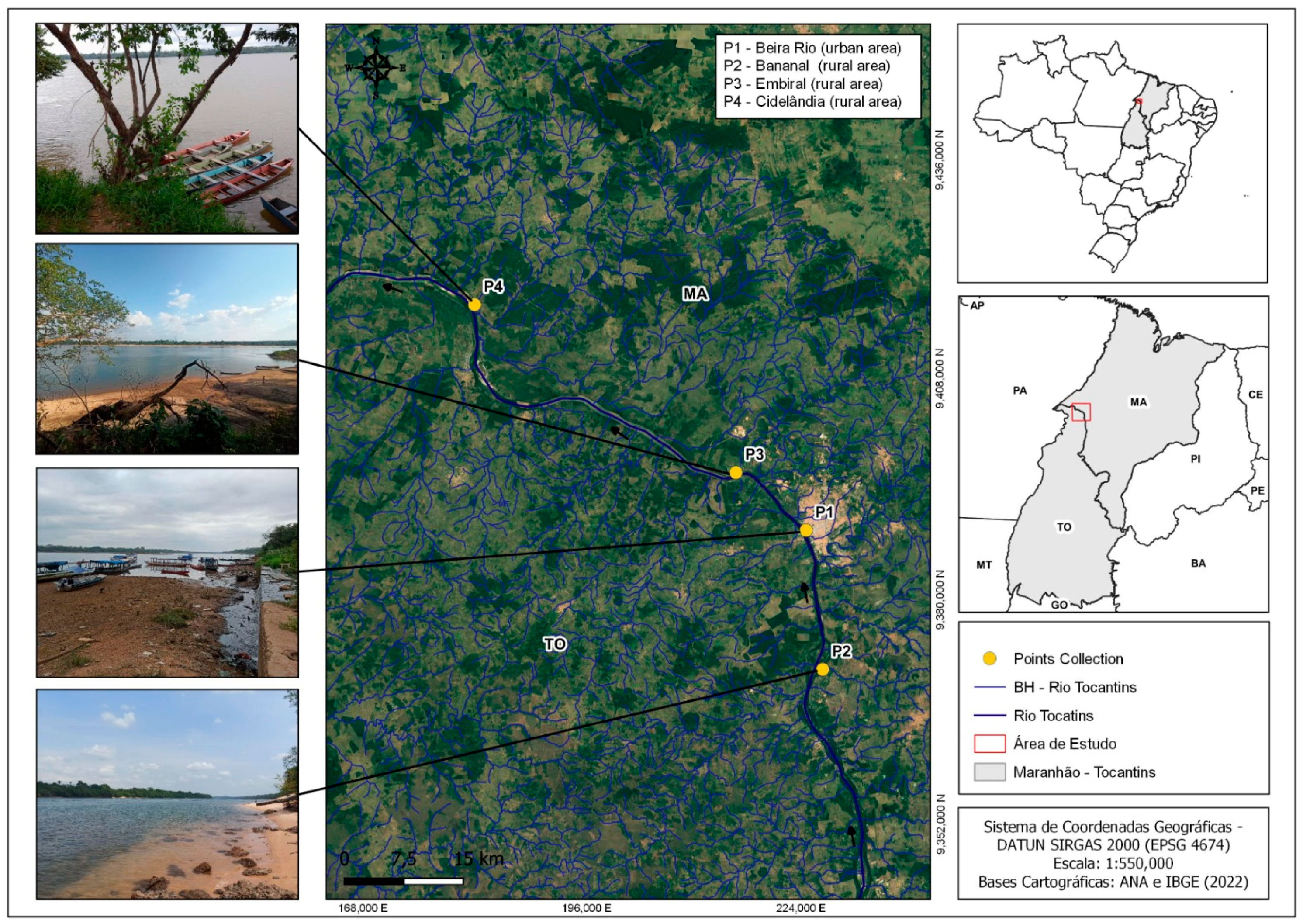 Toxics 12 00444 g001