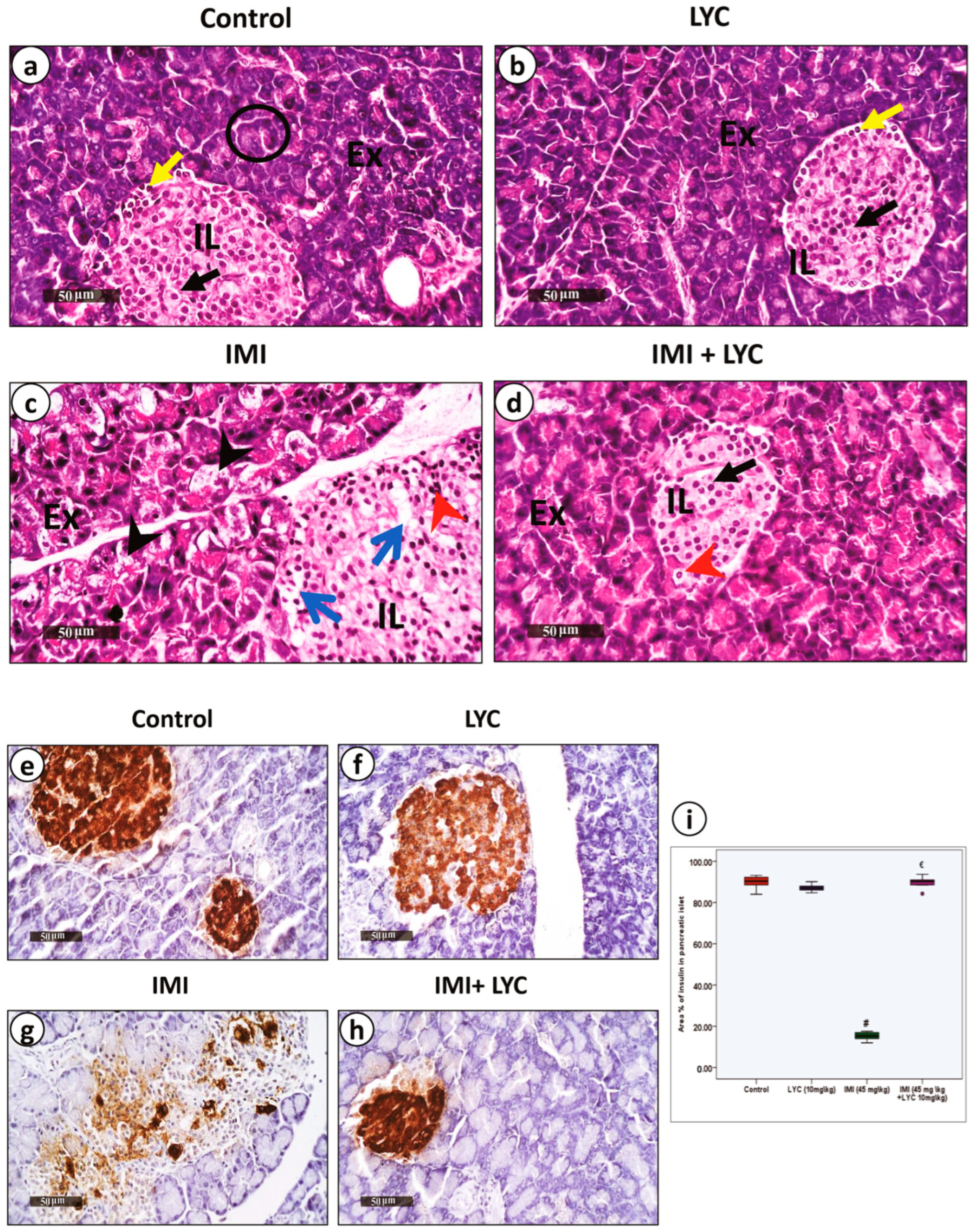 Toxics 12 00445 g004