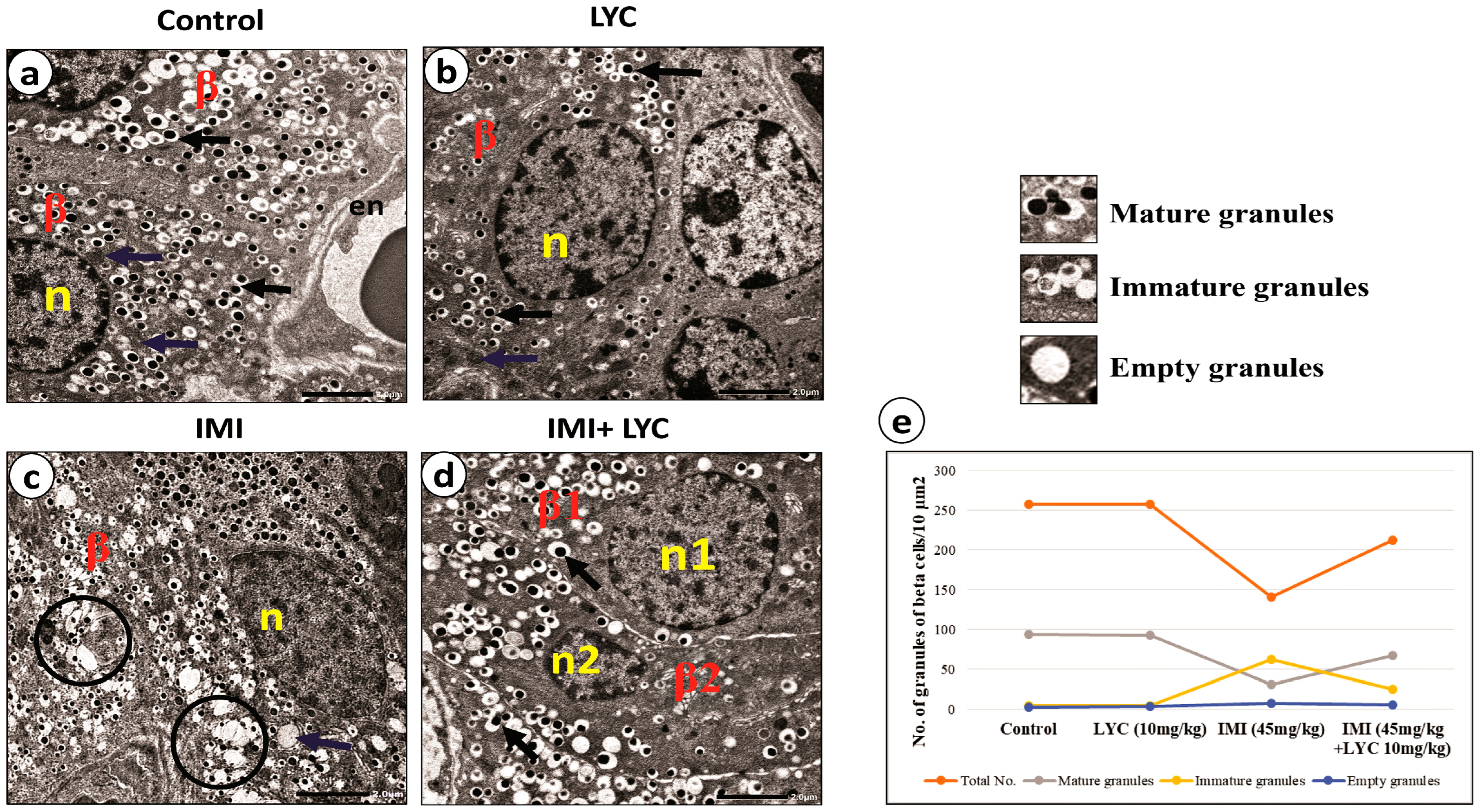 Toxics 12 00445 g006