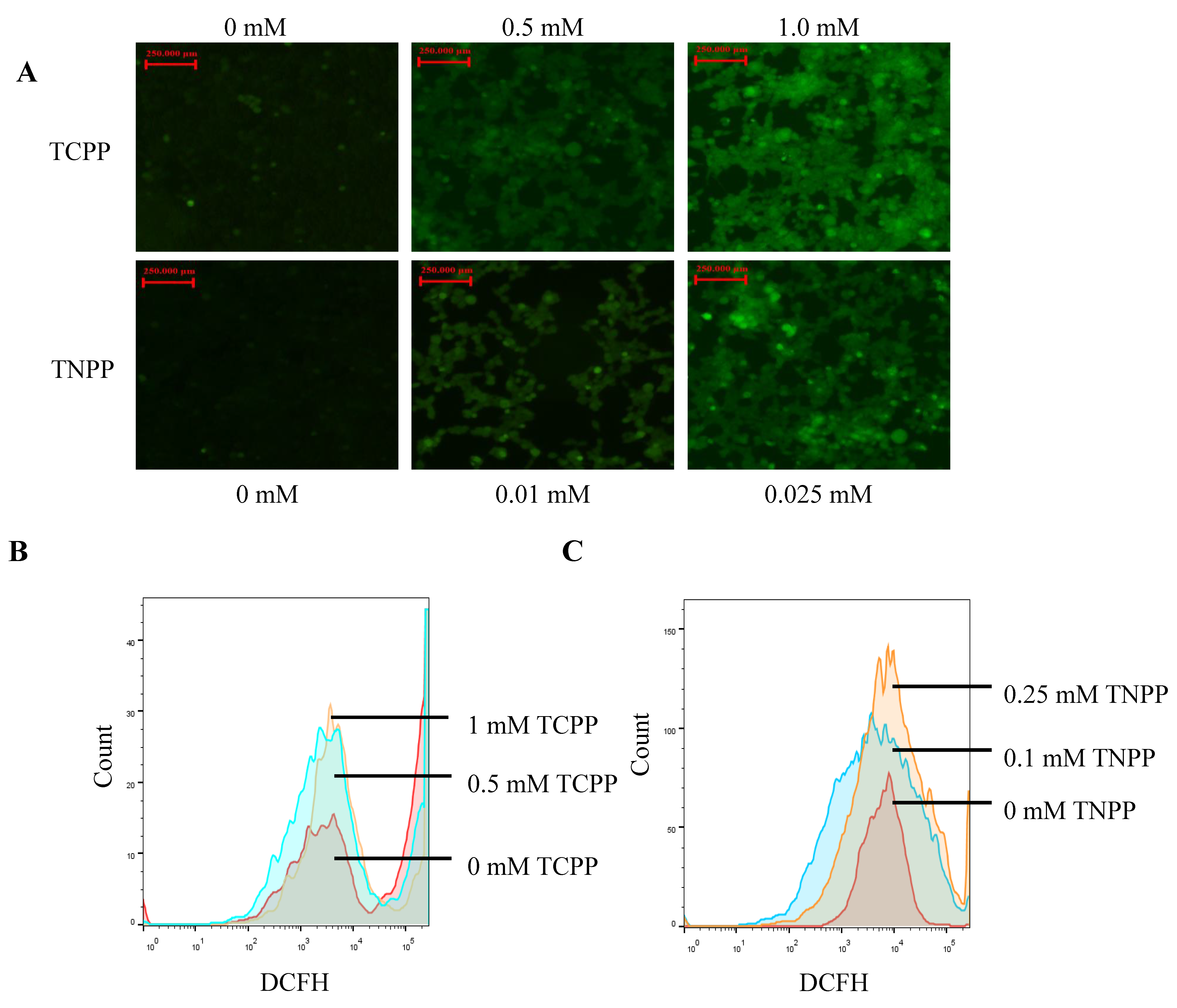 Toxics 12 00452 g003