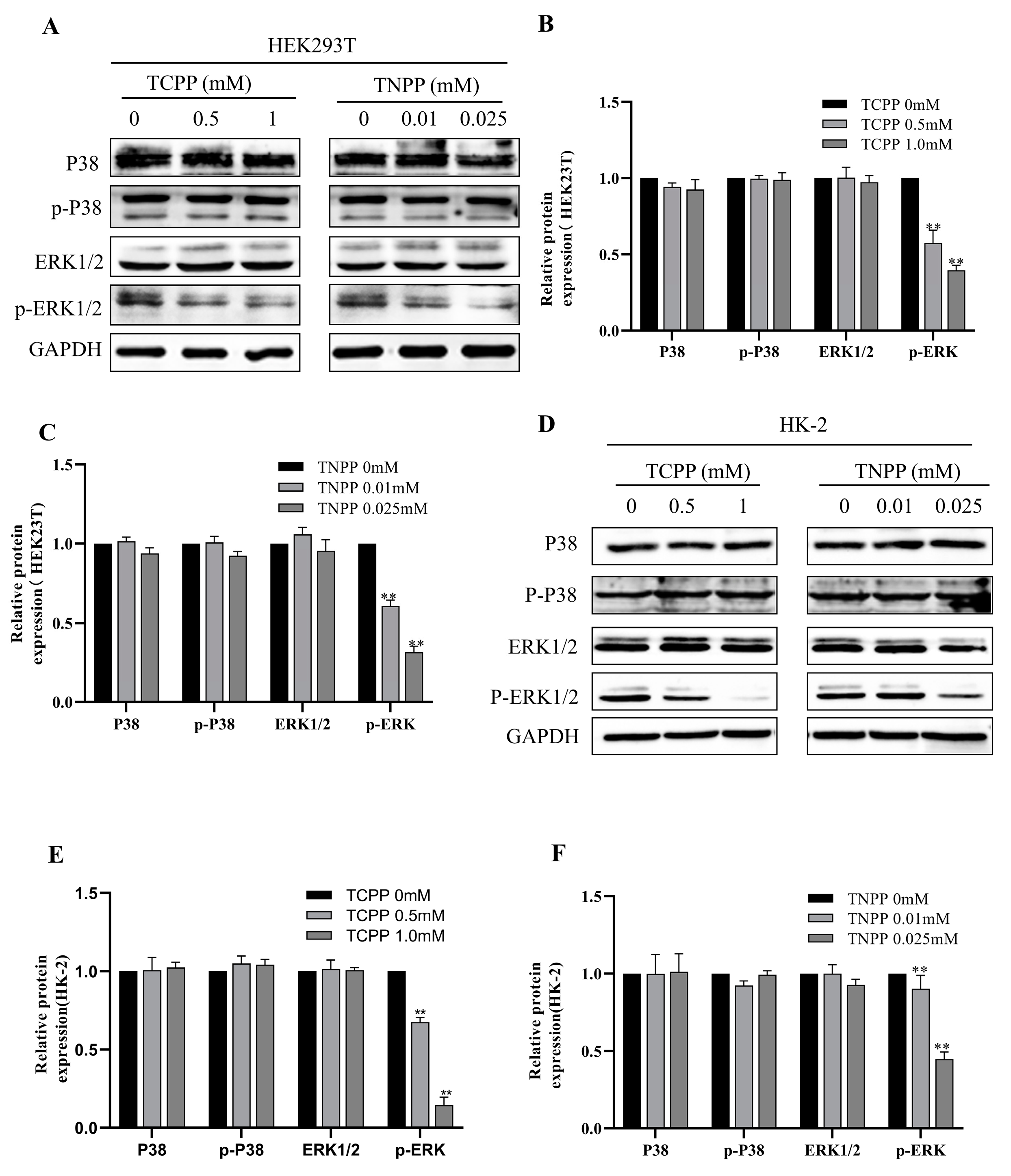 Toxics 12 00452 g006