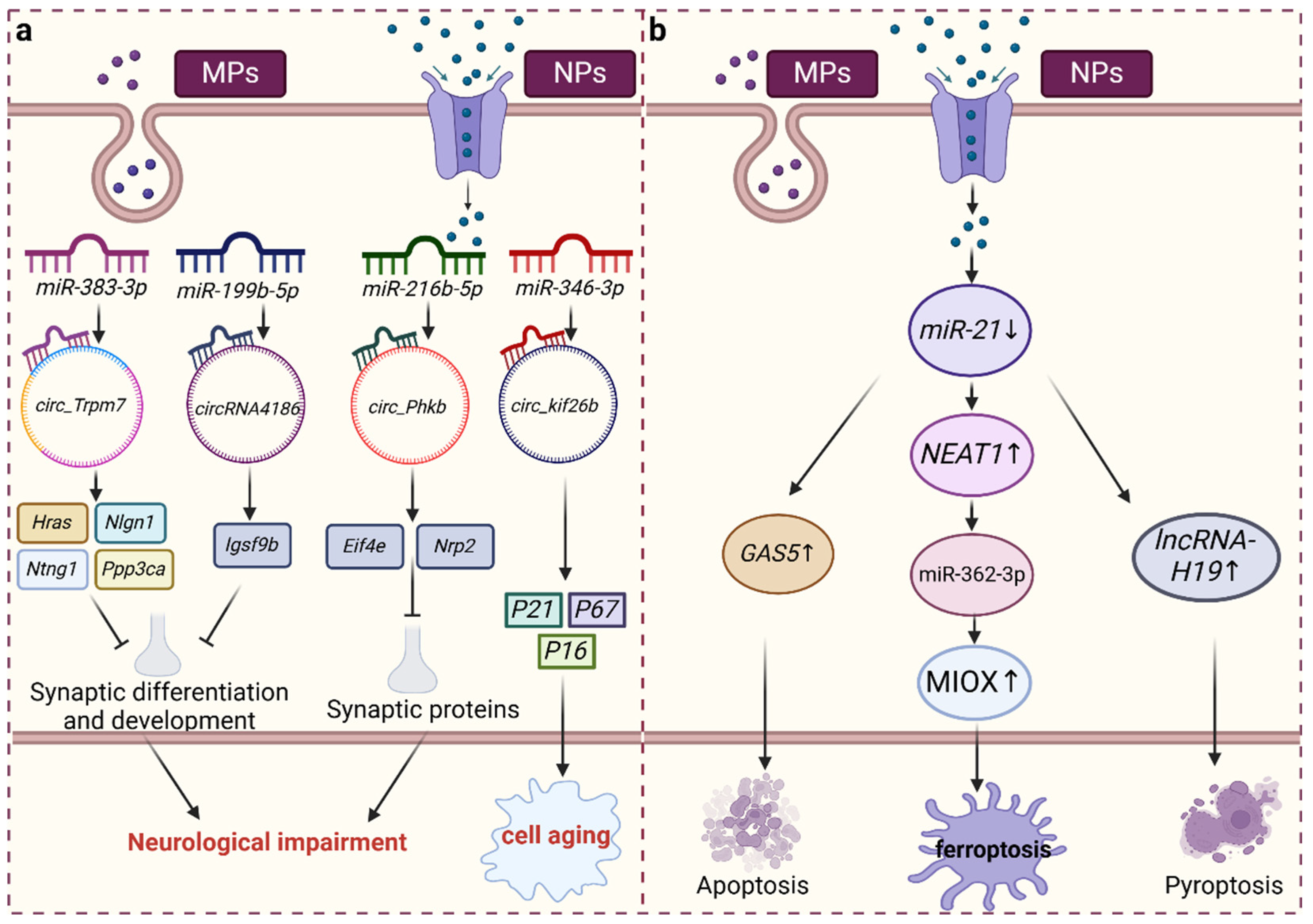 Toxics 12 00475 g002 Toxics 12 00475 g002