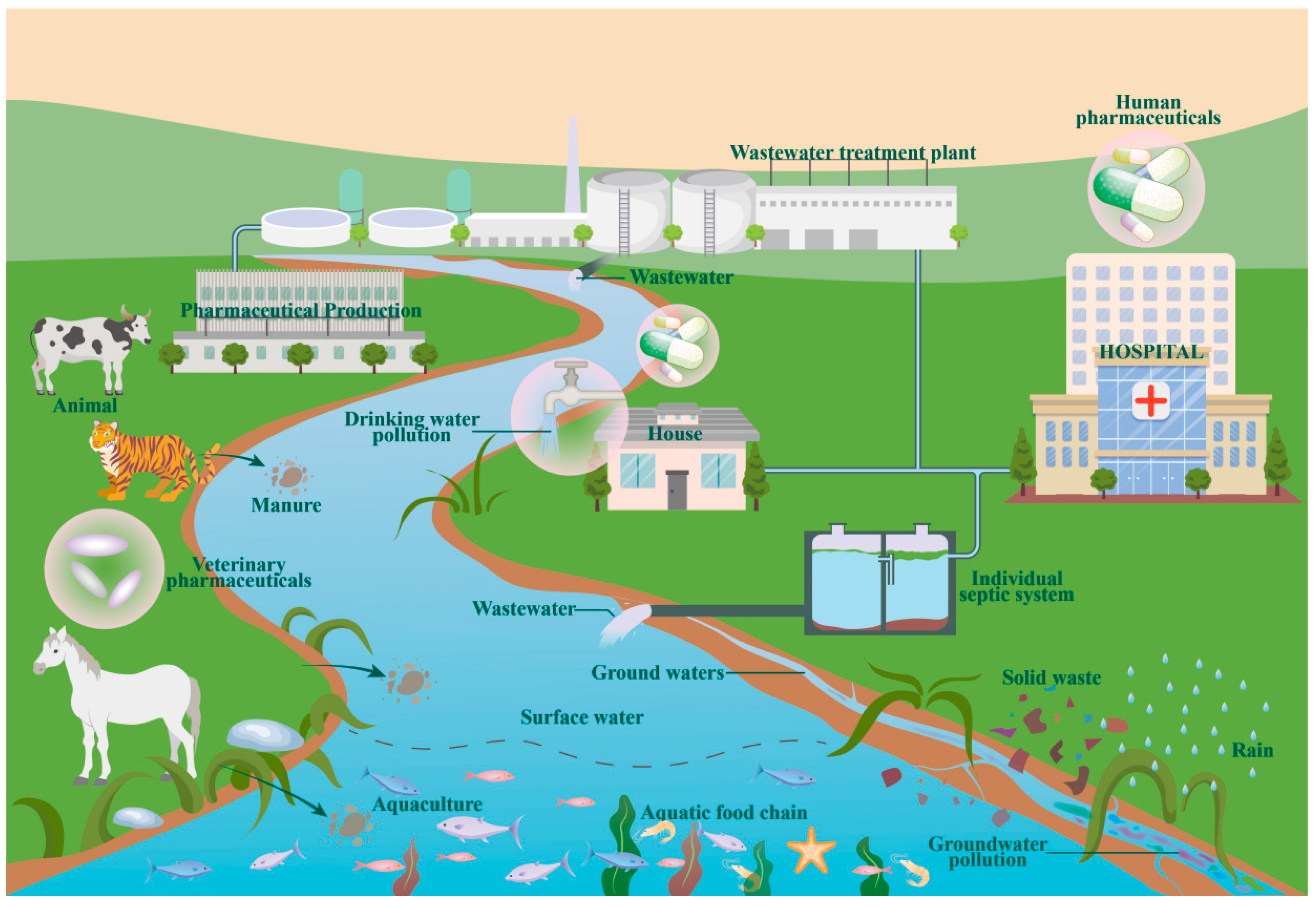 Toxics 12 00483 g001