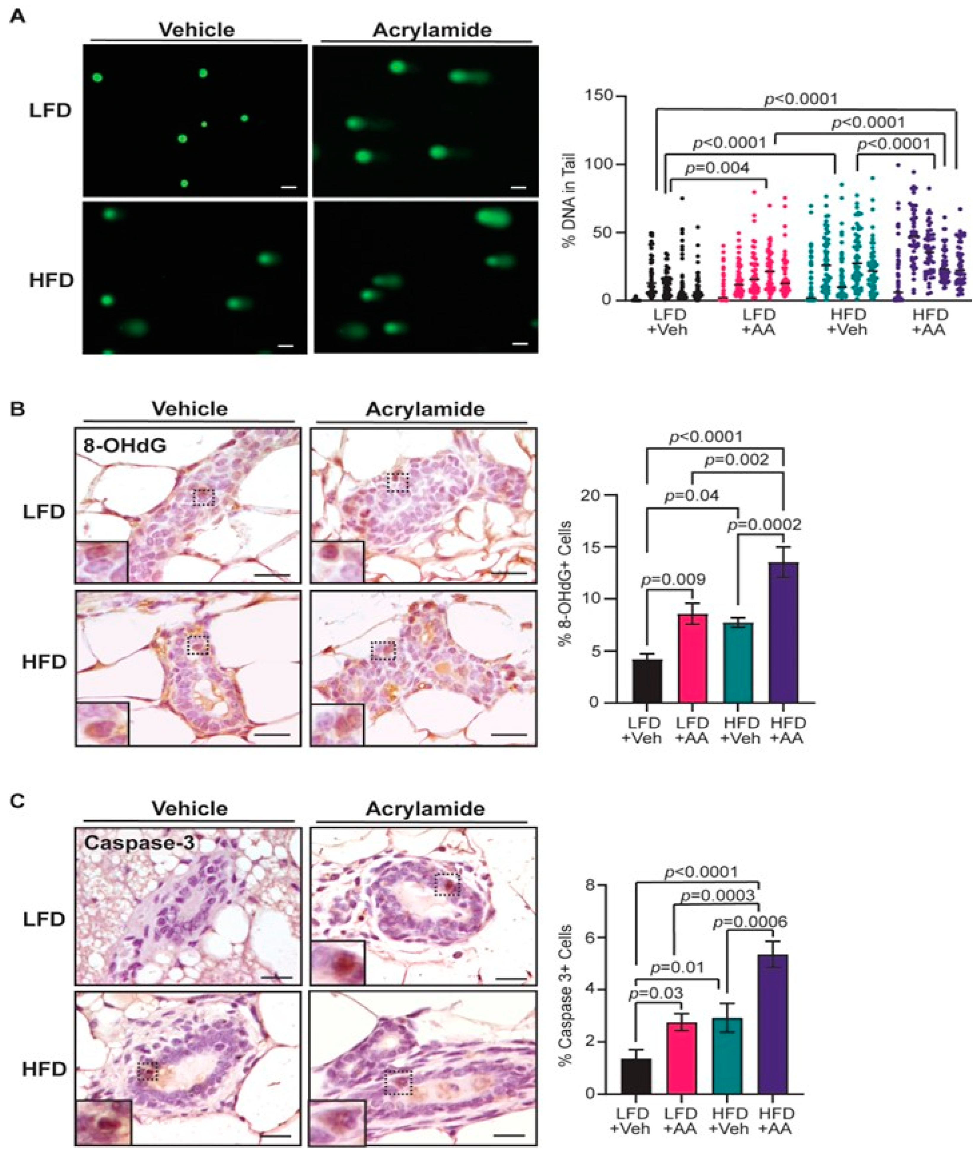 Toxics 12 00484 g003
