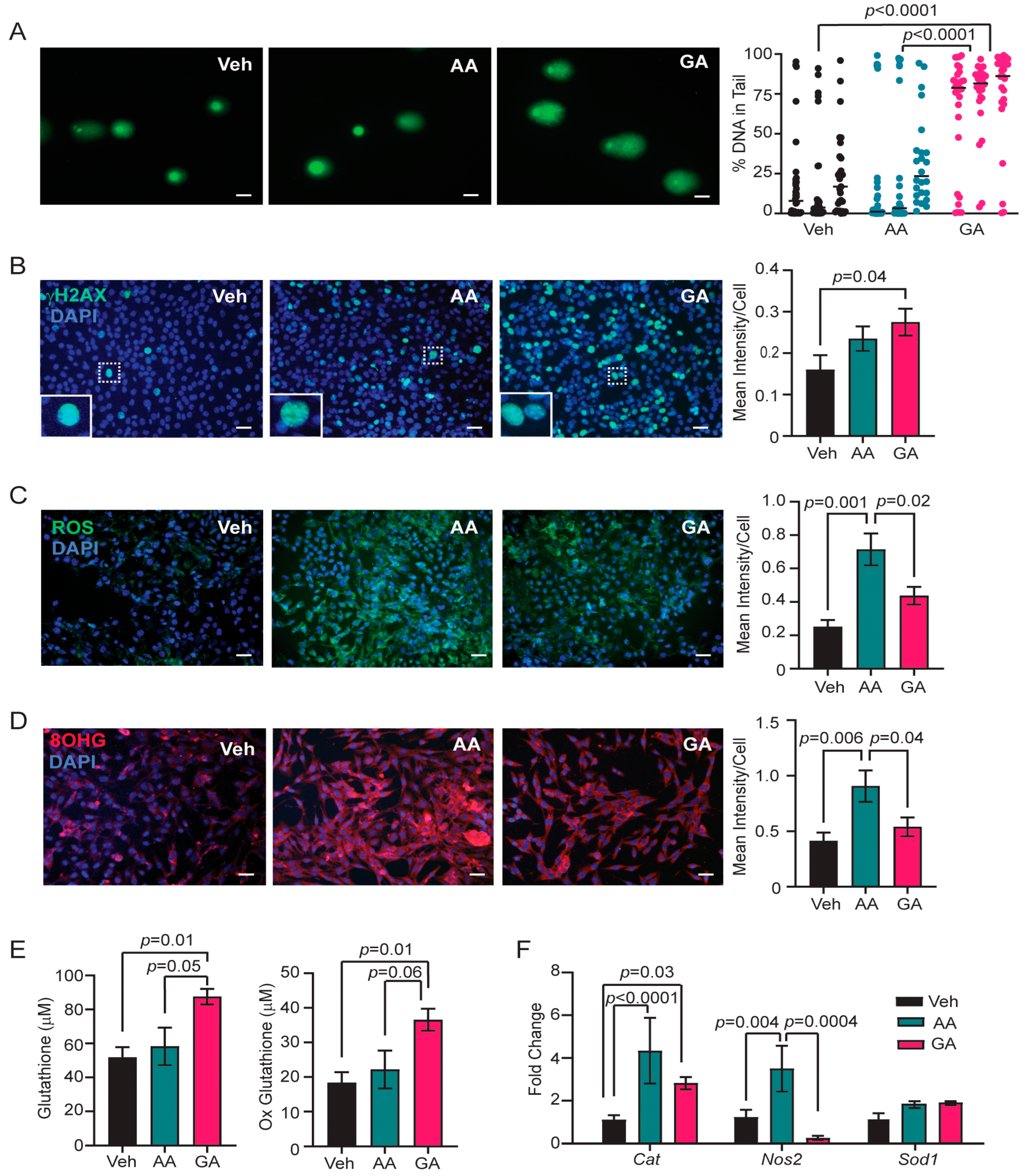 Toxics 12 00484 g004
