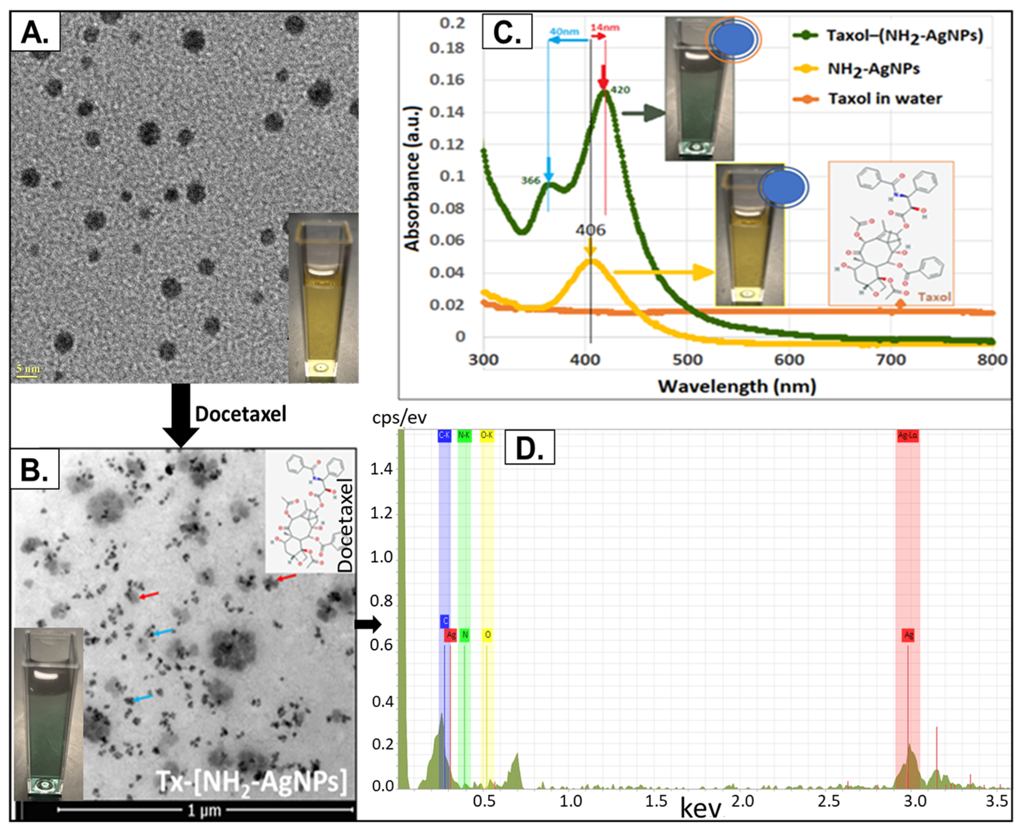 Toxics 12 00495 g002