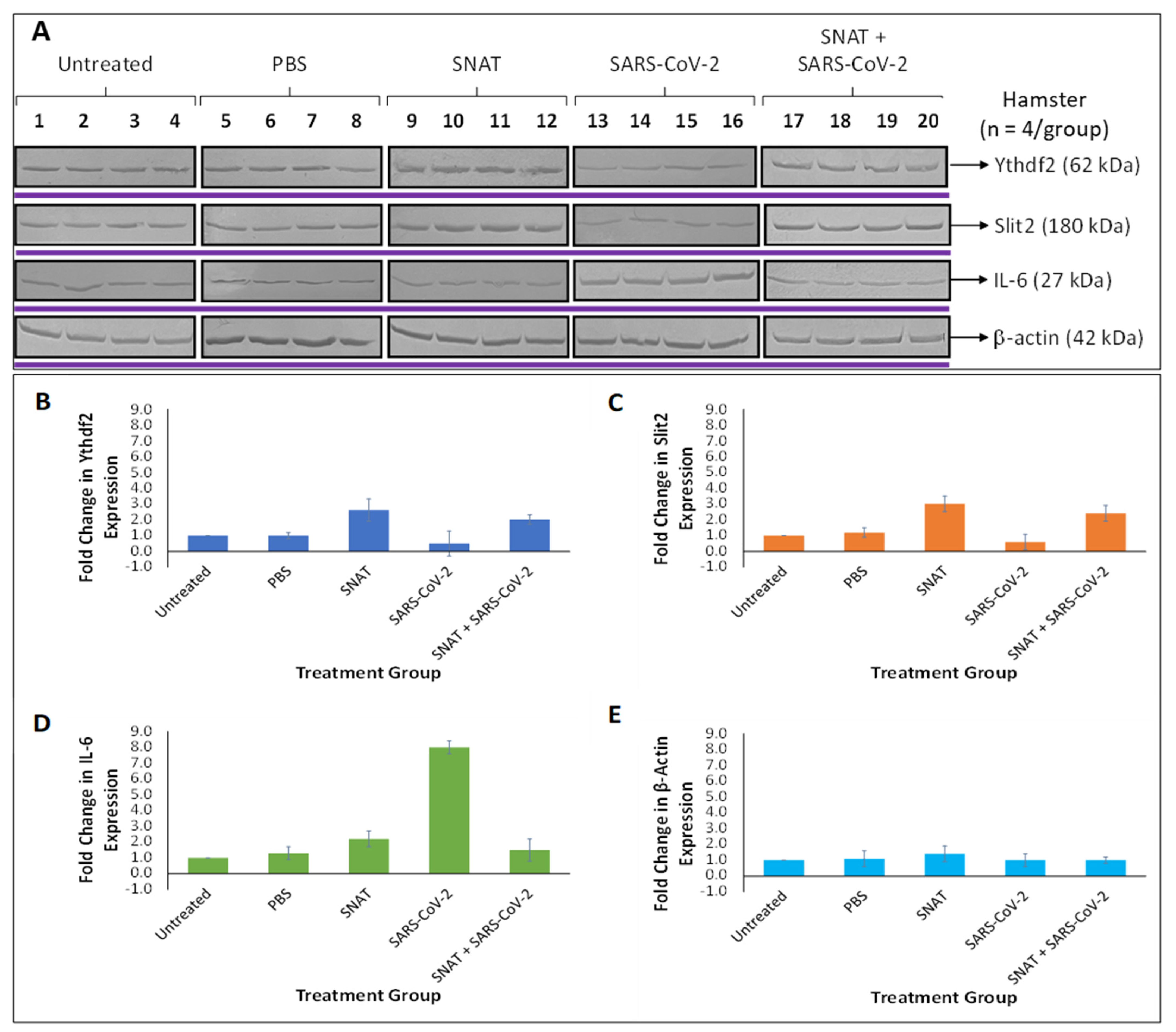 Toxics 12 00495 g008