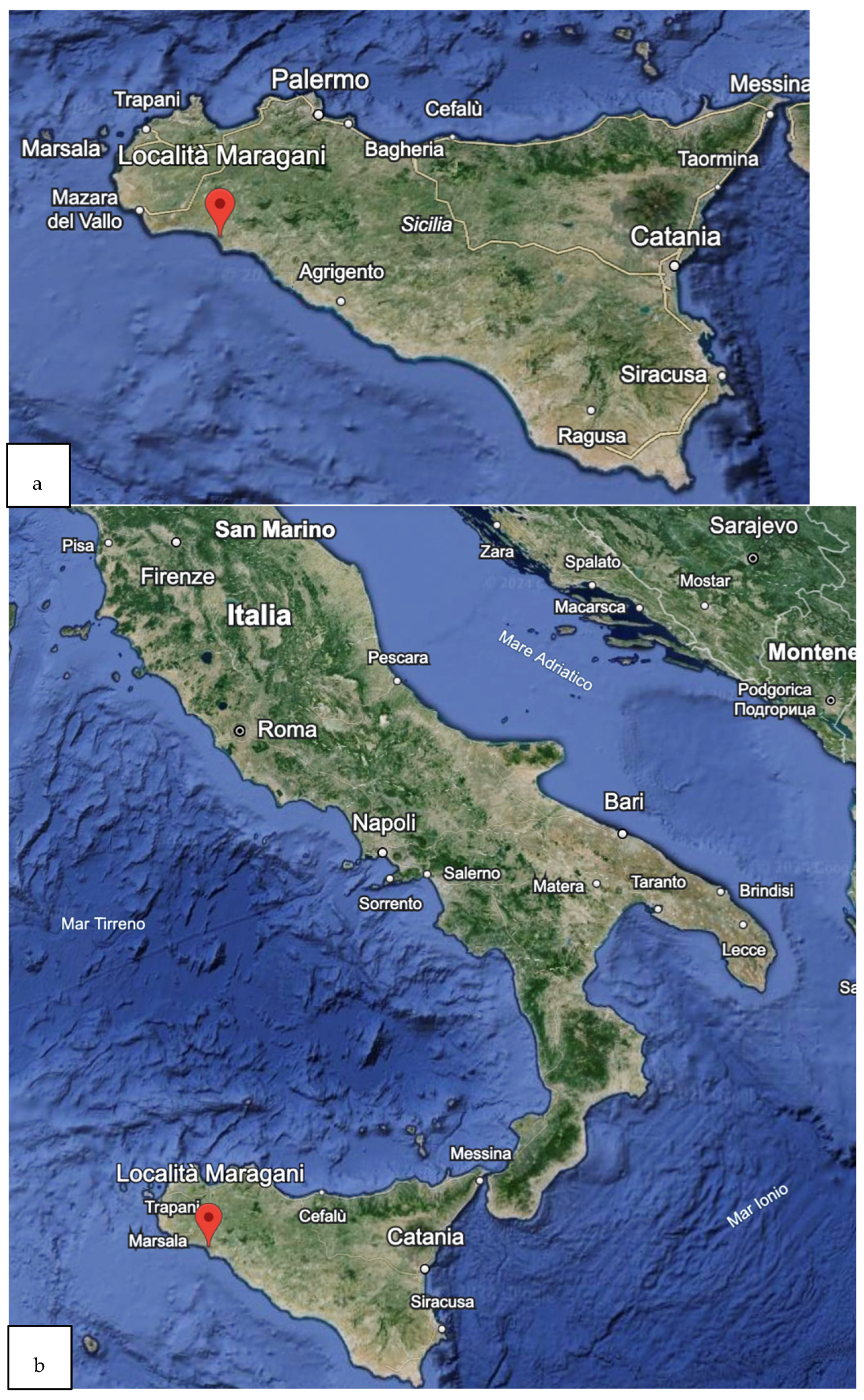 Toxics 12 00506 g001