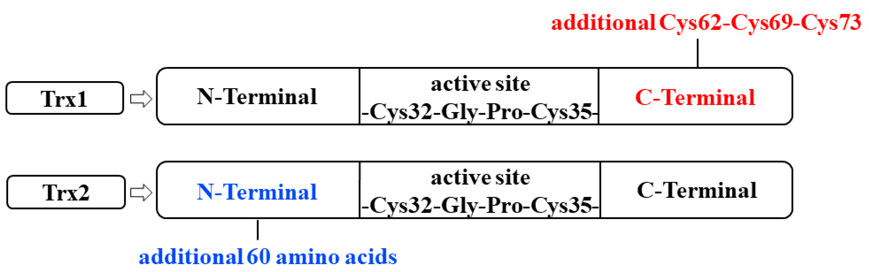 Toxics 12 00510 g001 Toxics 12 00510 g001