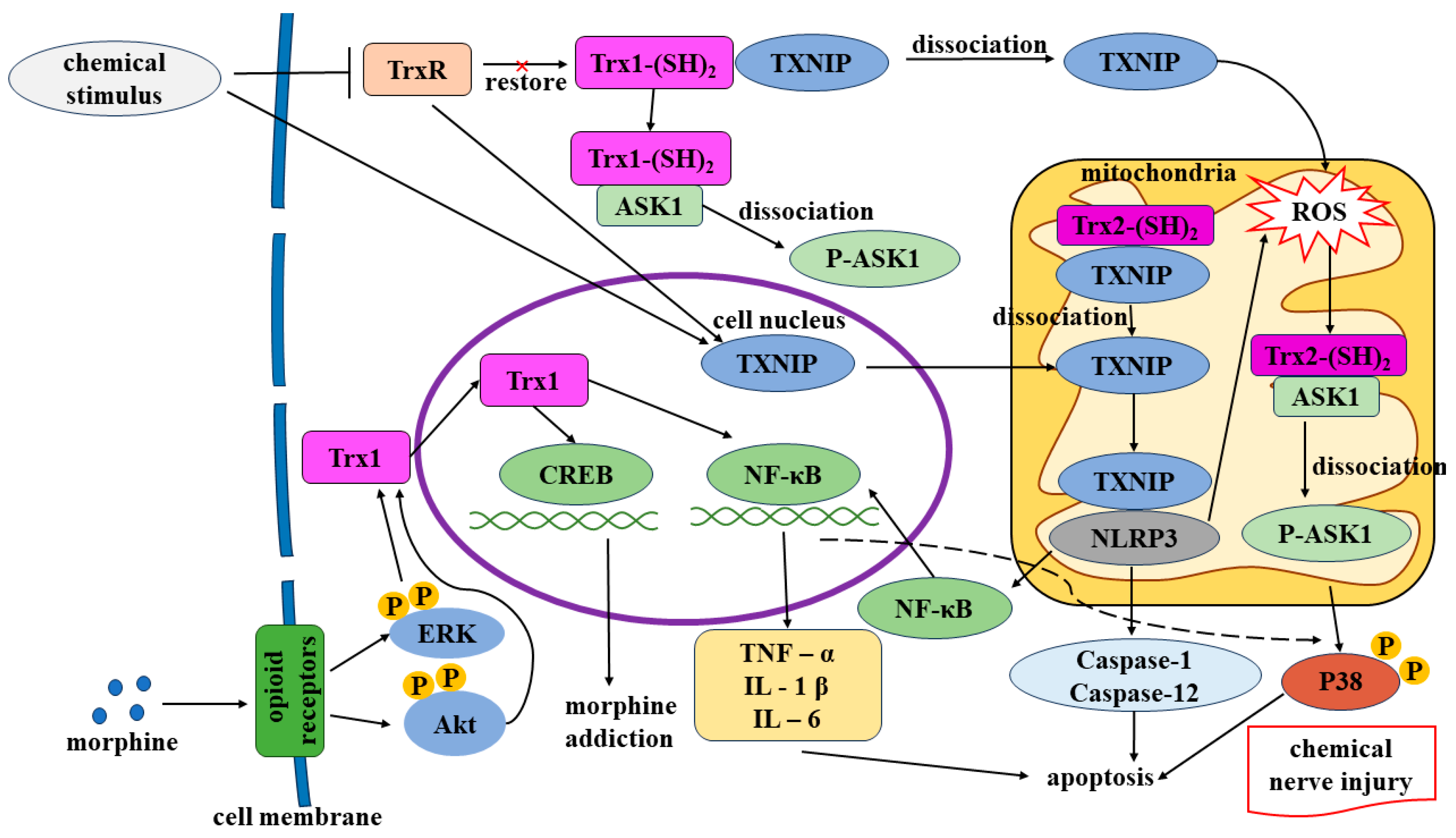 Toxics 12 00510 g003 Toxics 12 00510 g003