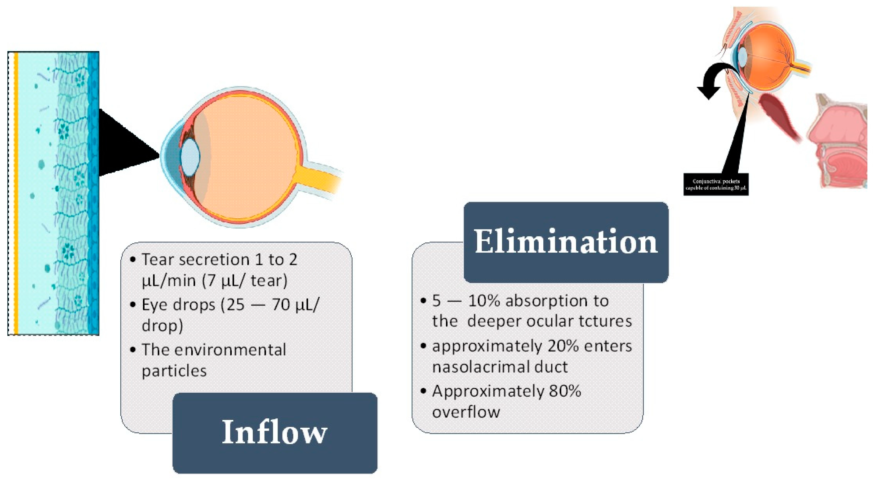 Toxics 12 00513 g001 Toxics 12 00513 g001