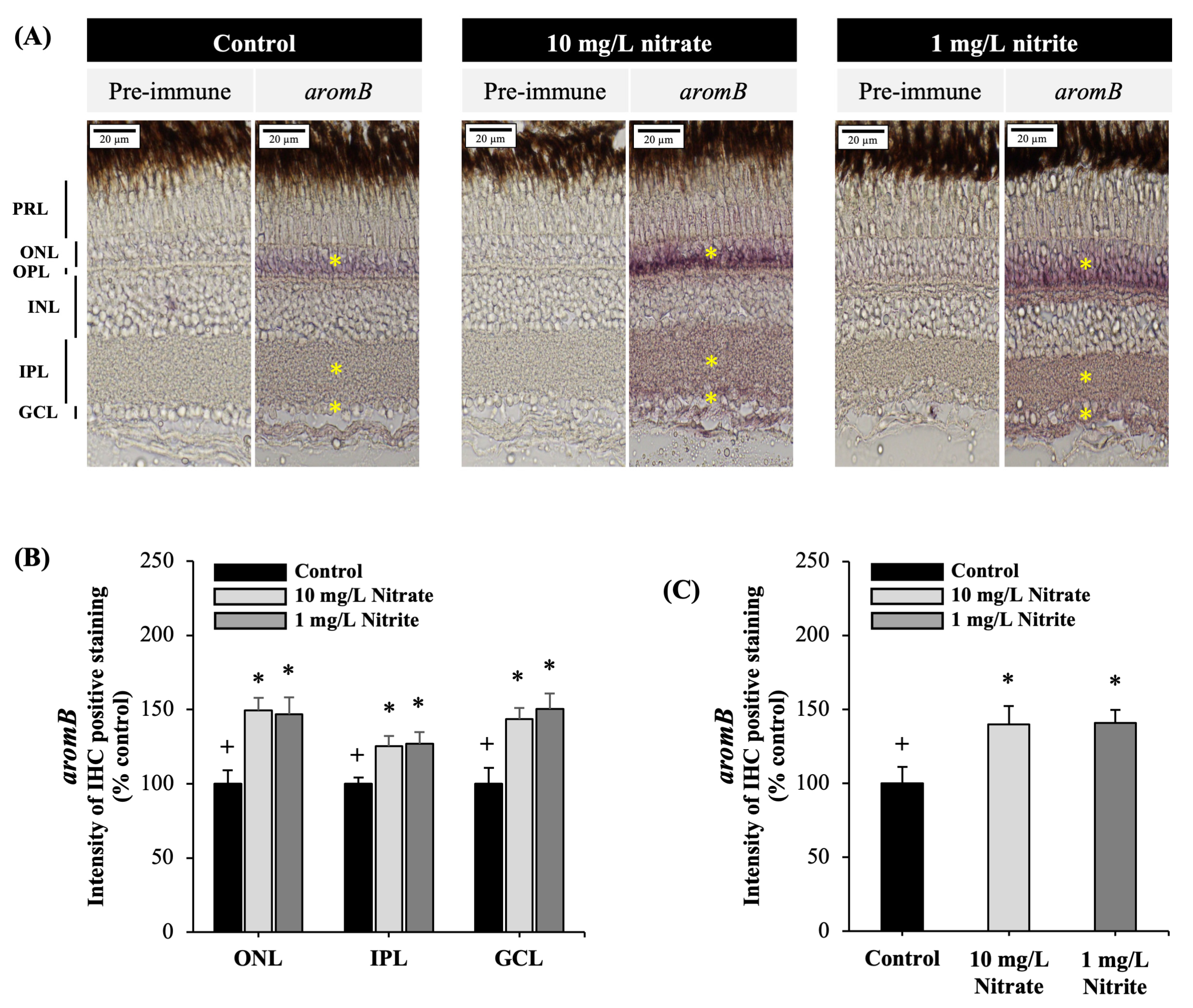 Toxics 12 00518 g005 Toxics 12 00518 g005