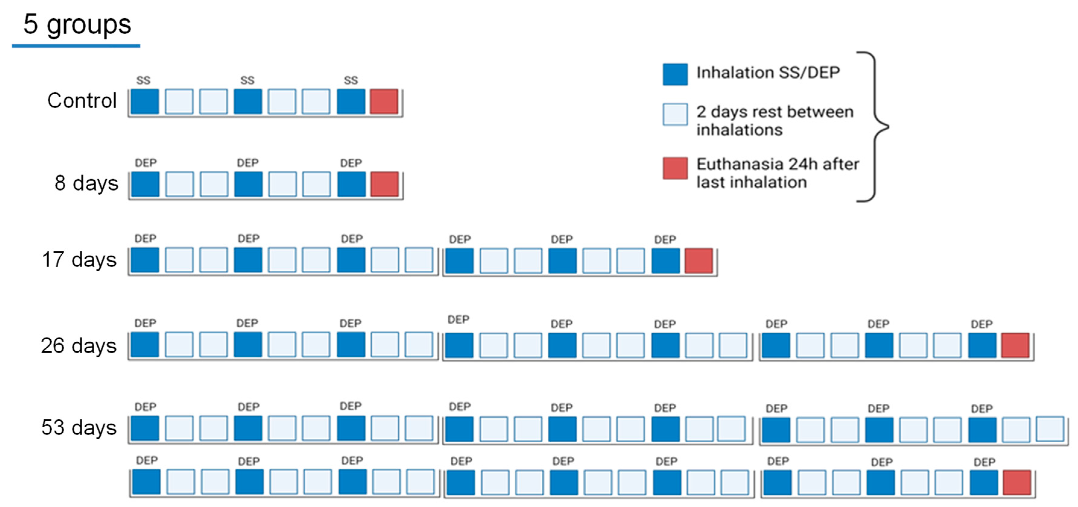 Toxics 12 00530 g001