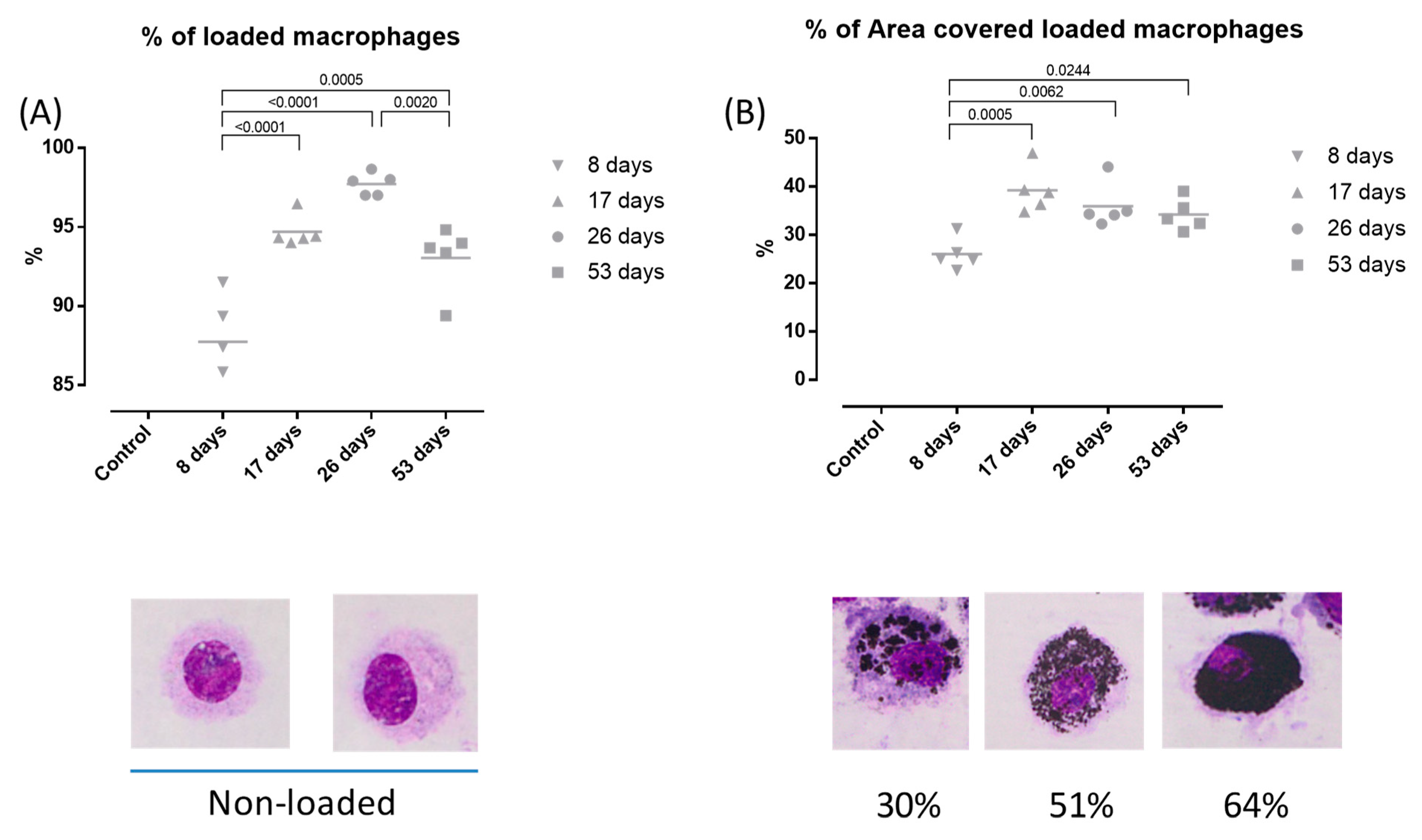 Toxics 12 00530 g004