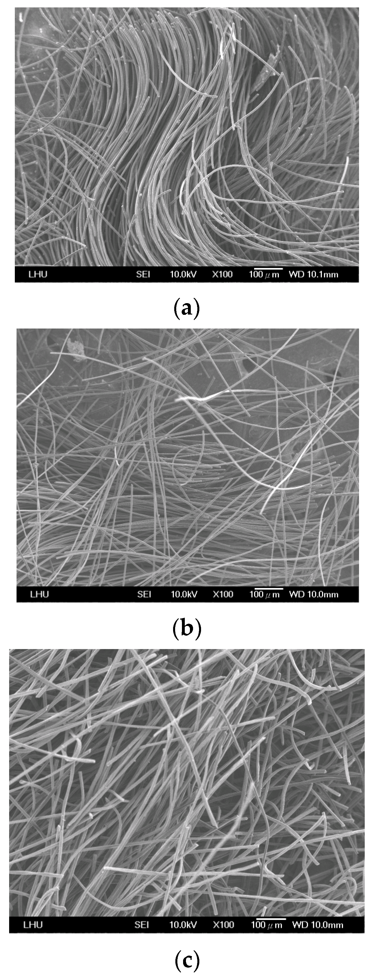 Toxics 12 00537 g003