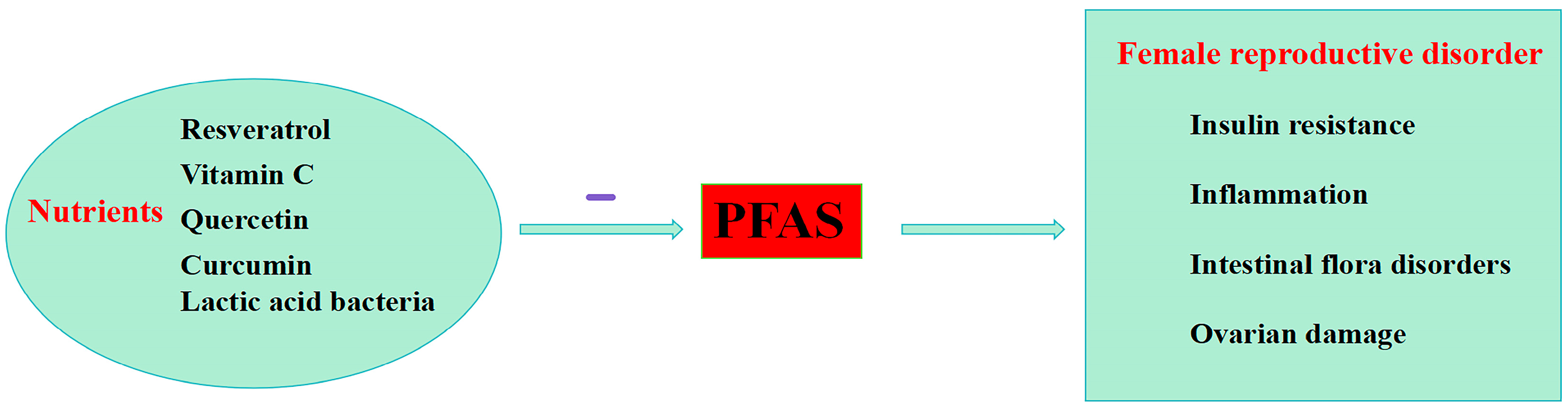 Toxics 12 00539 g003