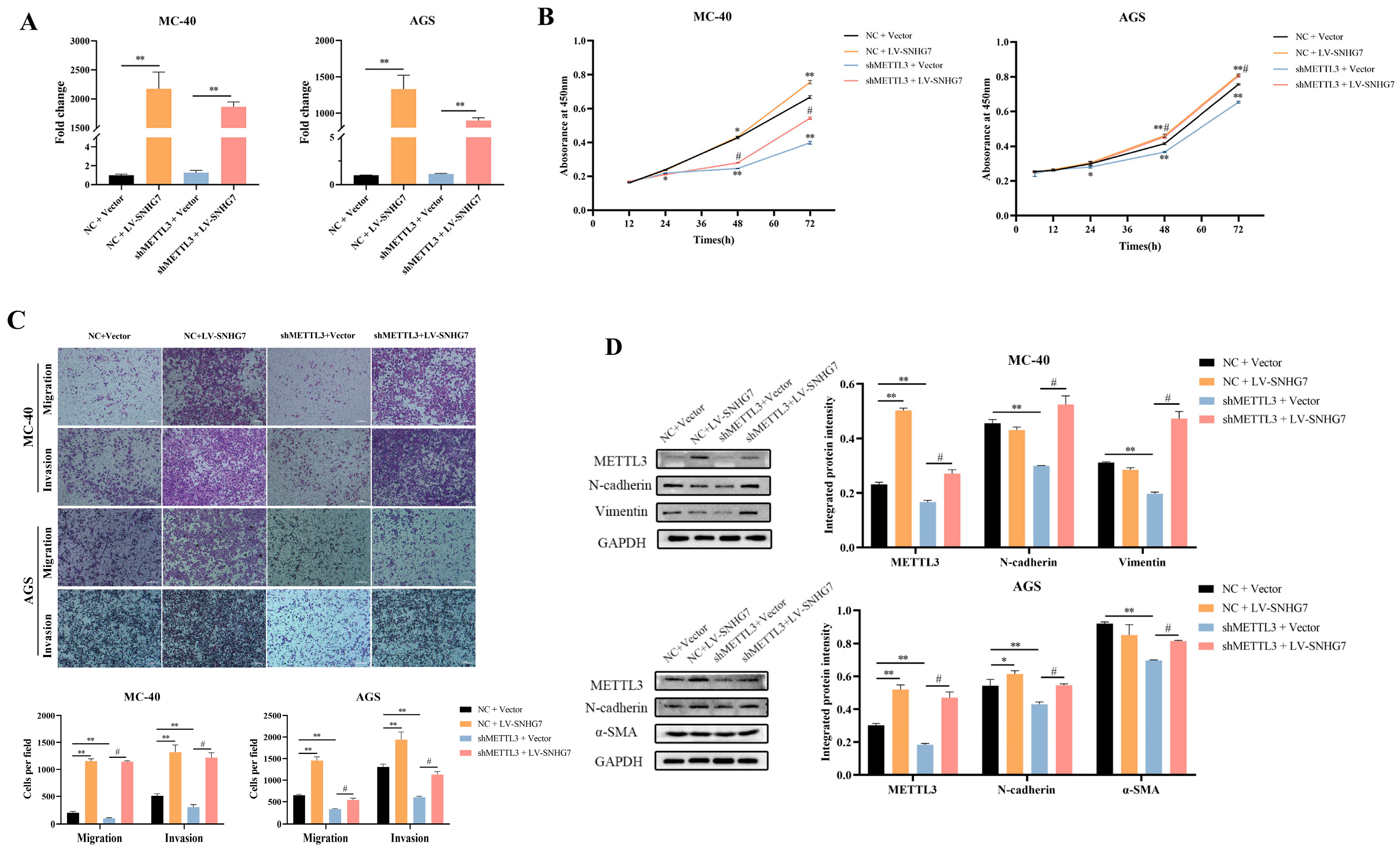 Toxics 12 00573 g002