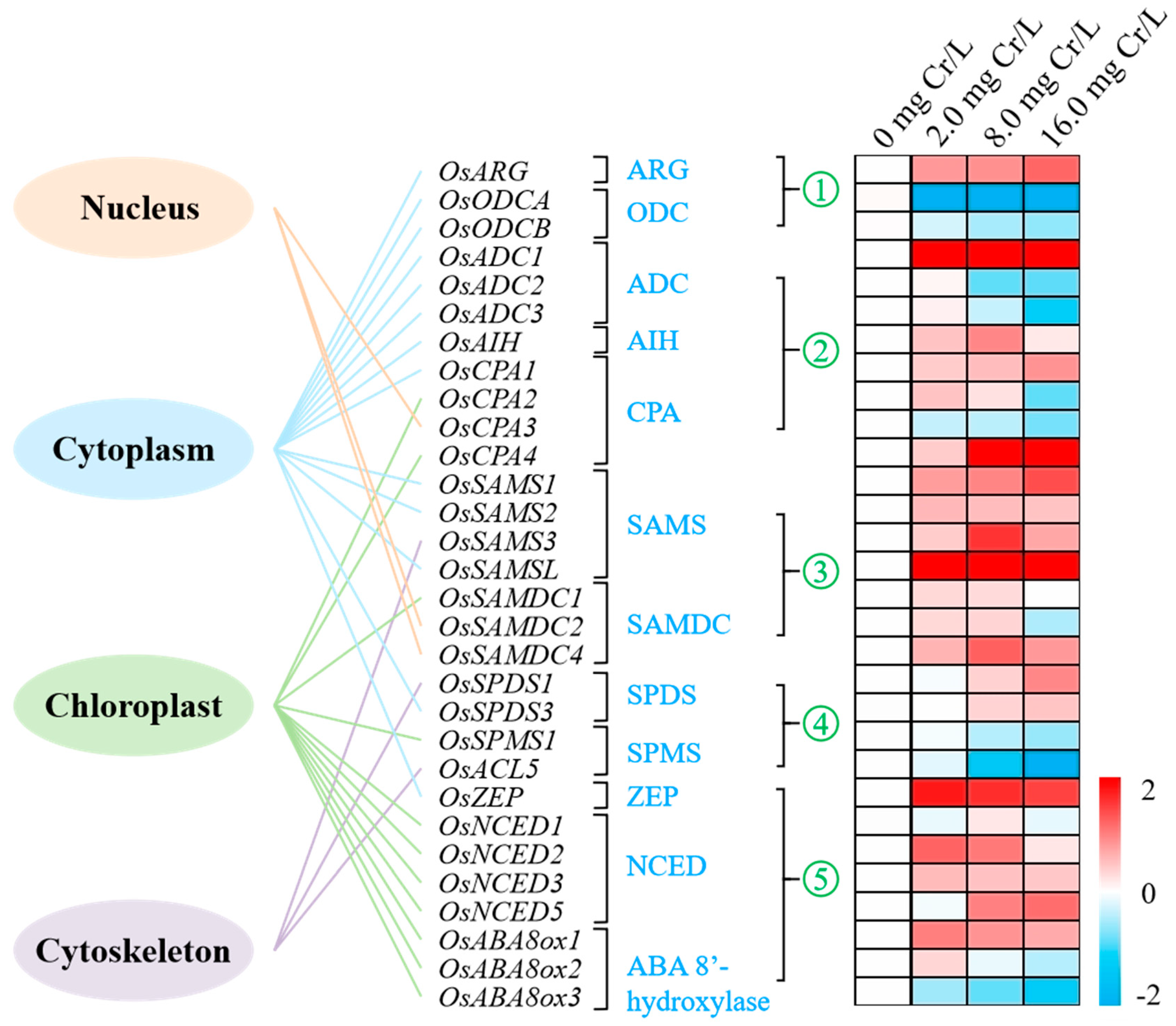 Toxics 12 00577 g004 Toxics 12 00577 g004