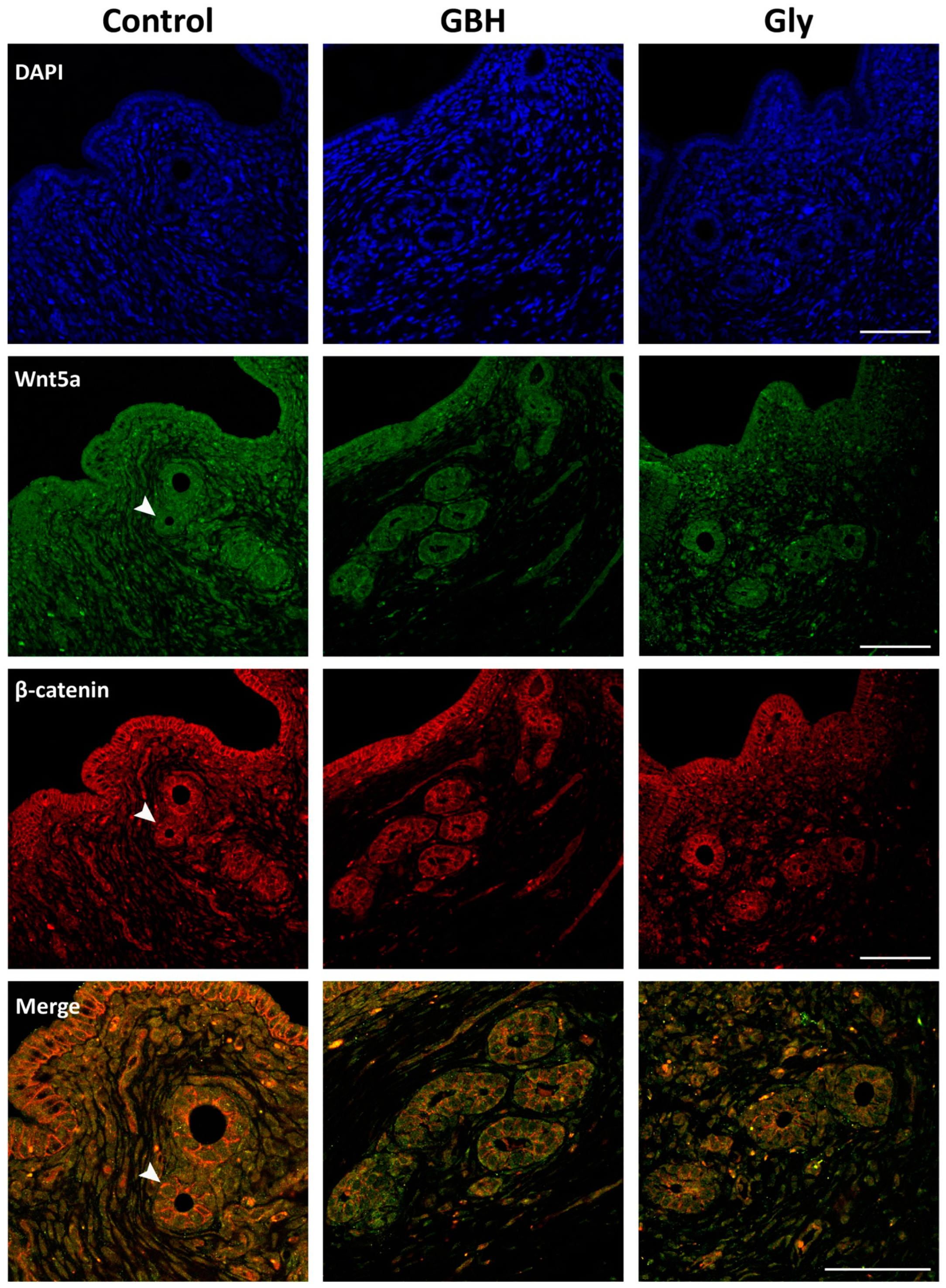 Toxics 12 00590 g006