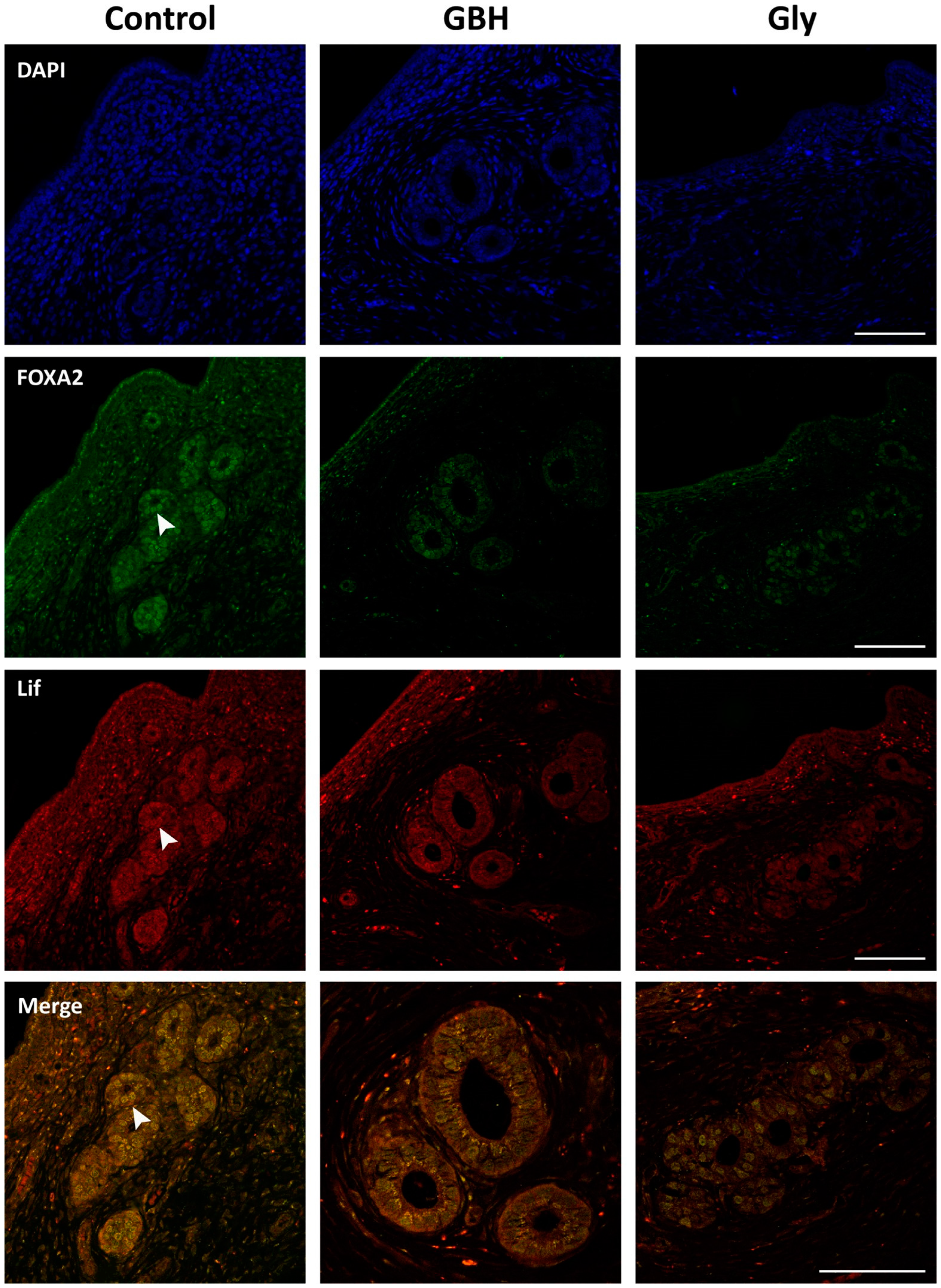 Toxics 12 00590 g007